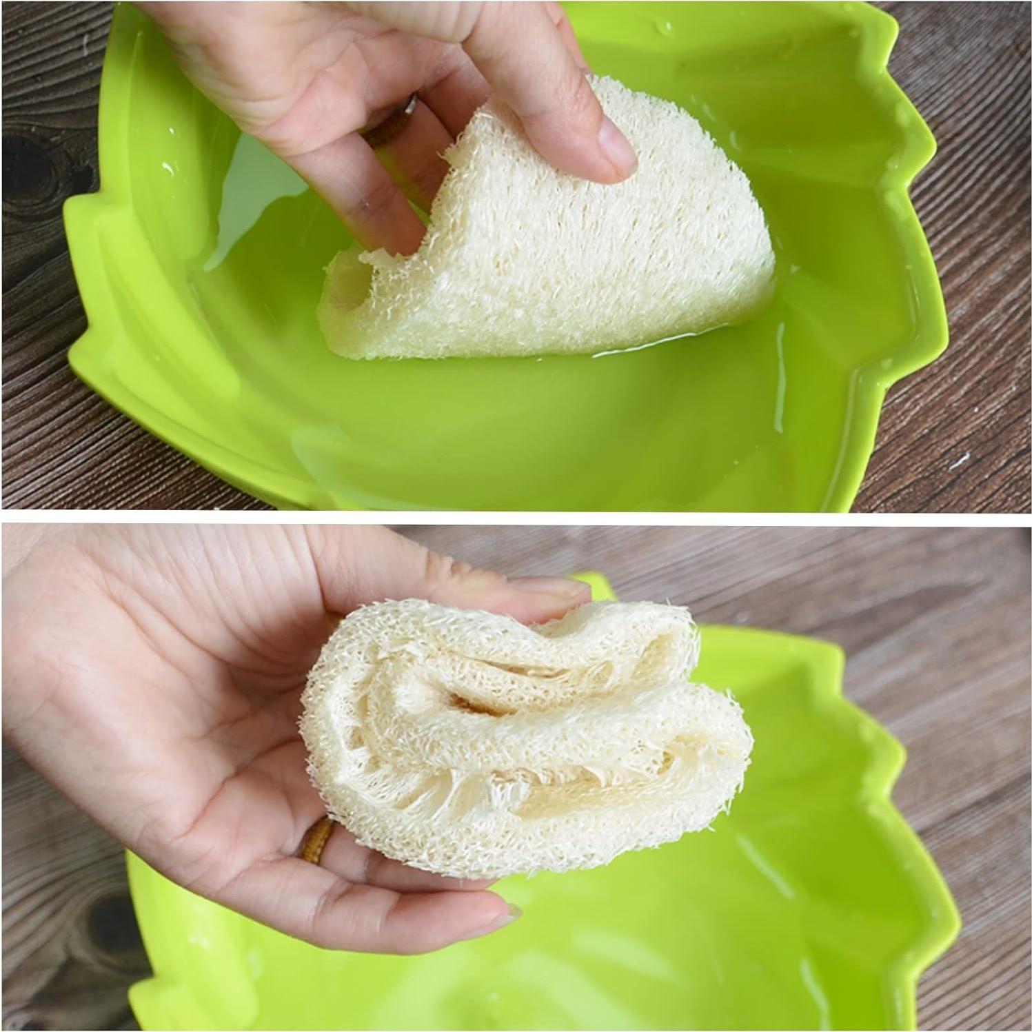 Paquete de 50 Esponjas de Lufa Natural ENLAYER 12.5x8cm