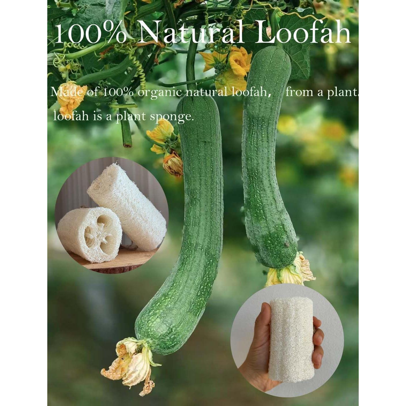 Esponja Exfoliante Natural Loofah Rainbow Moon - Paquete 12