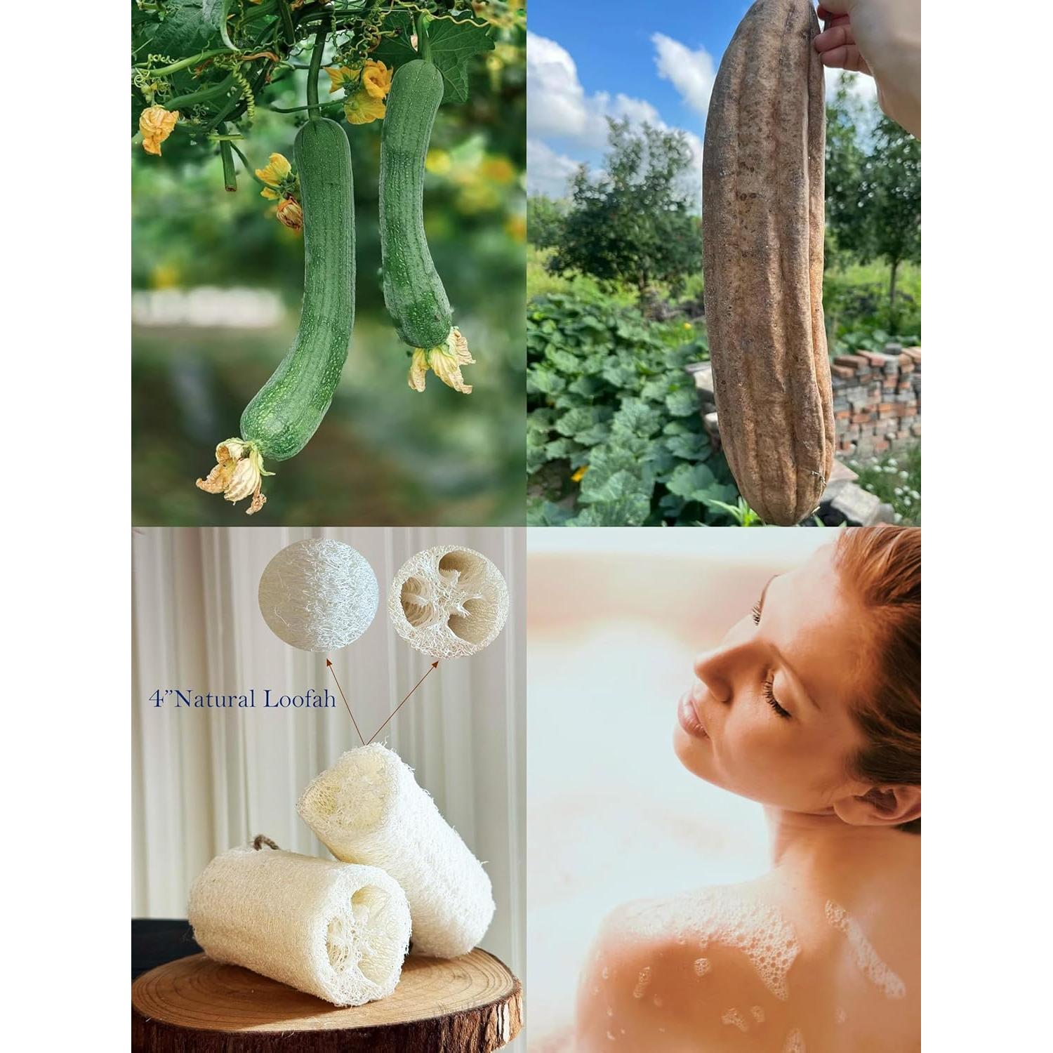 Esponja Exfoliante Natural Loofah Rainbow Moon - Paquete 12