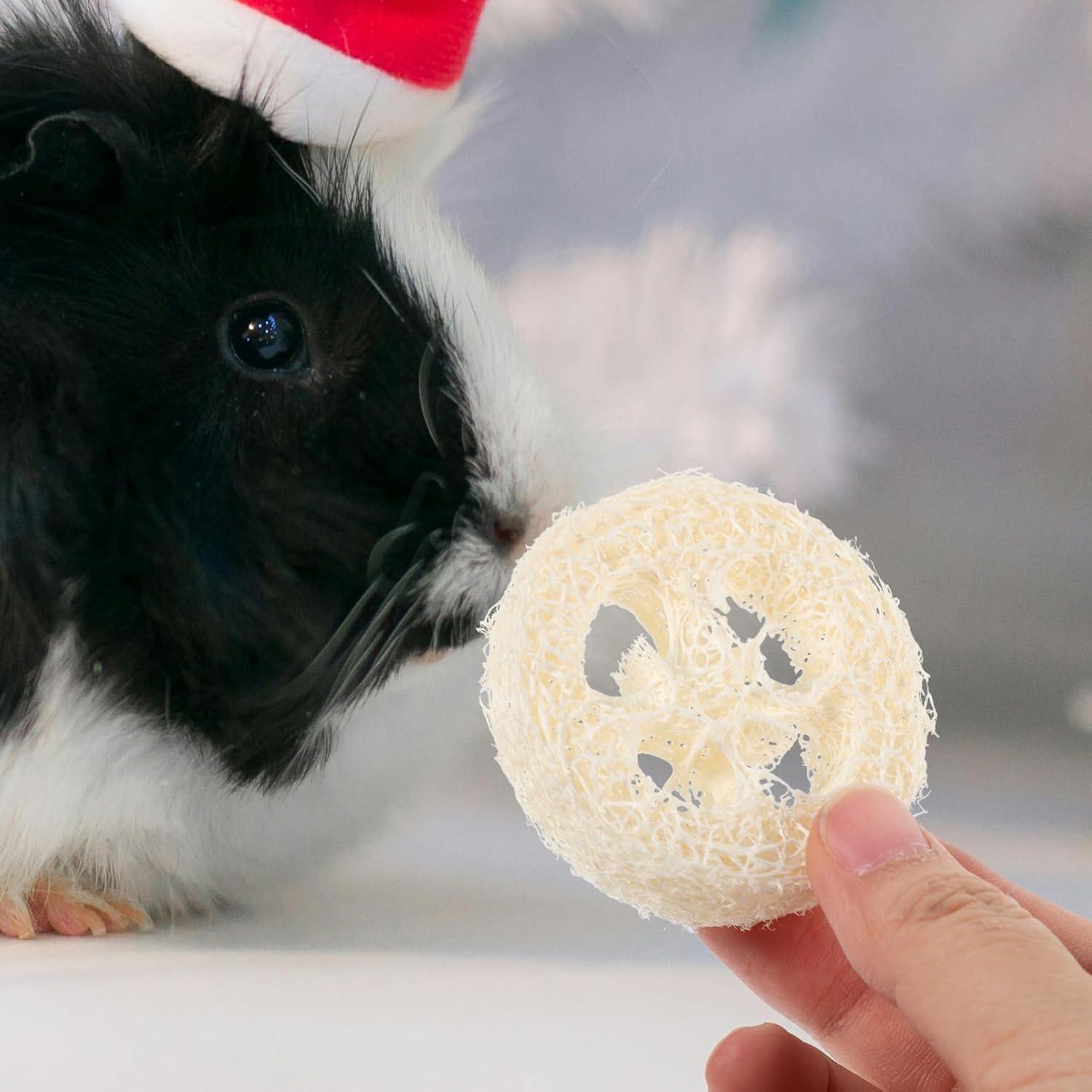Juguetes de Masticar Lufa para Conejos y Cobayas - 20 Piezas
