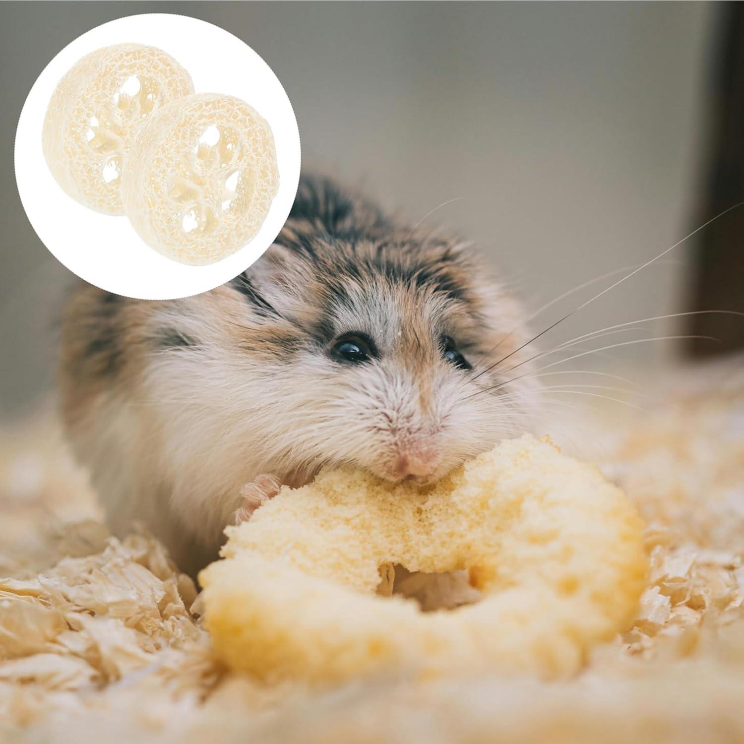 Juguetes de Masticar Lufa para Conejos y Cobayas - 20 Piezas