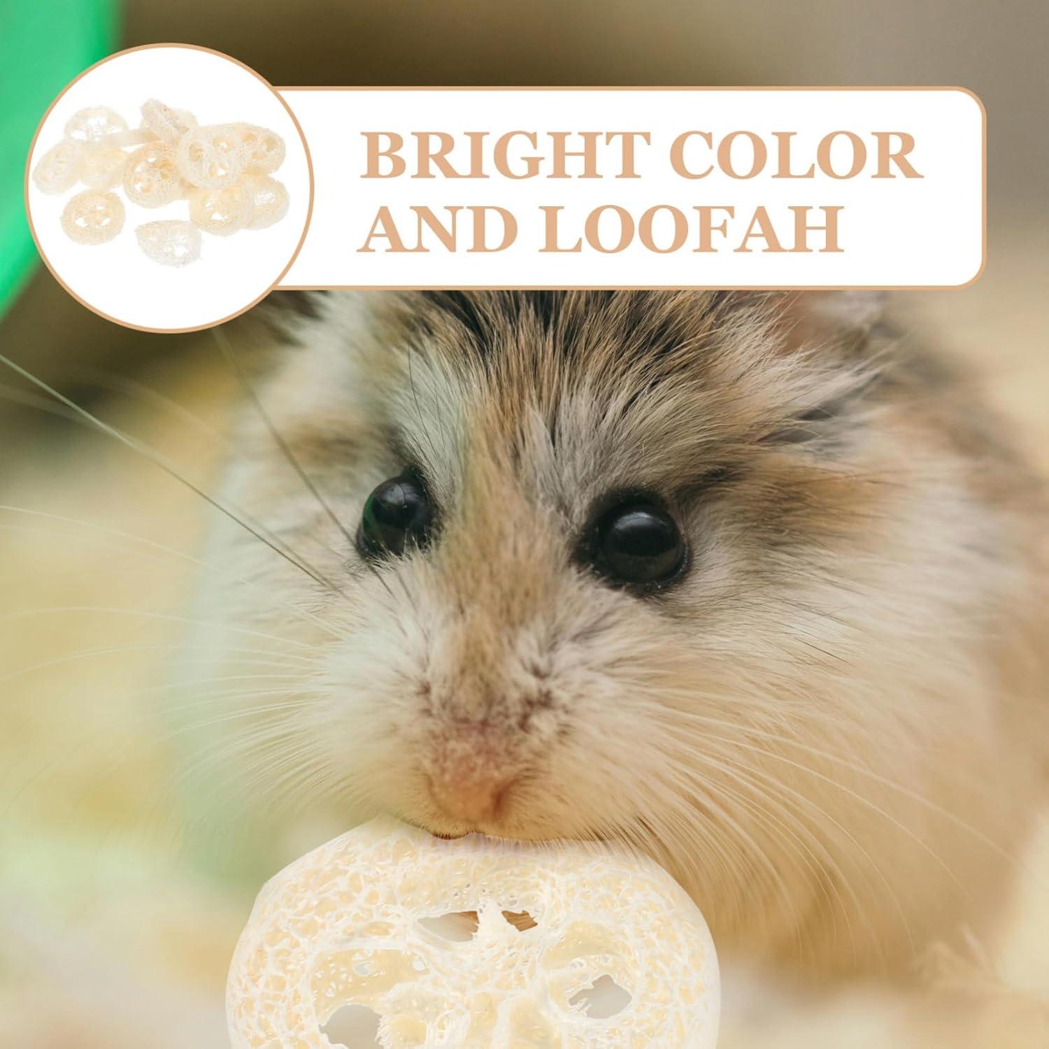 Juguetes de Masticar Lufa para Conejos y Cobayas - 20 Piezas