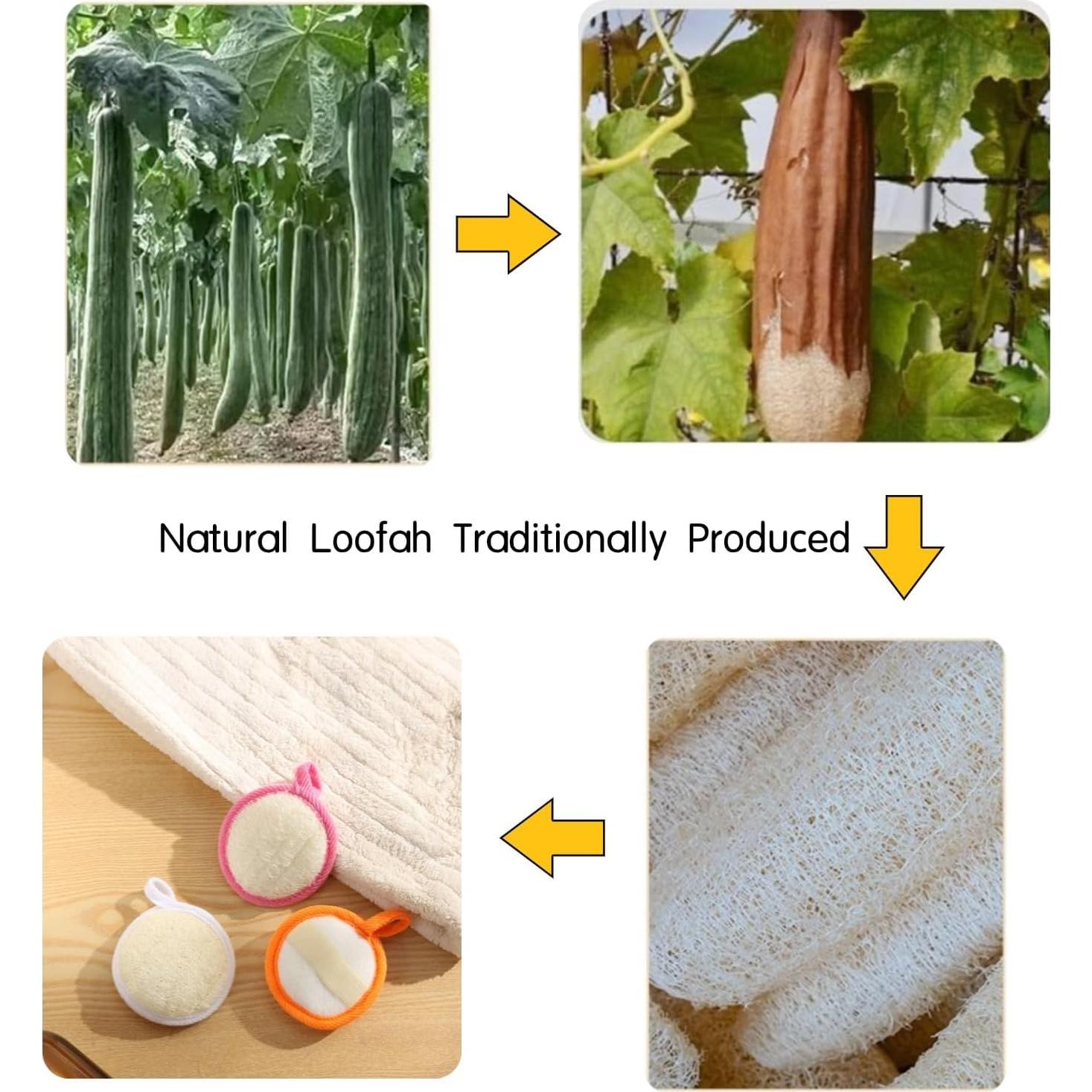 Esponja Exfoliante Facial de Lufa Natural ZOHCAJBO - 4 Piezas