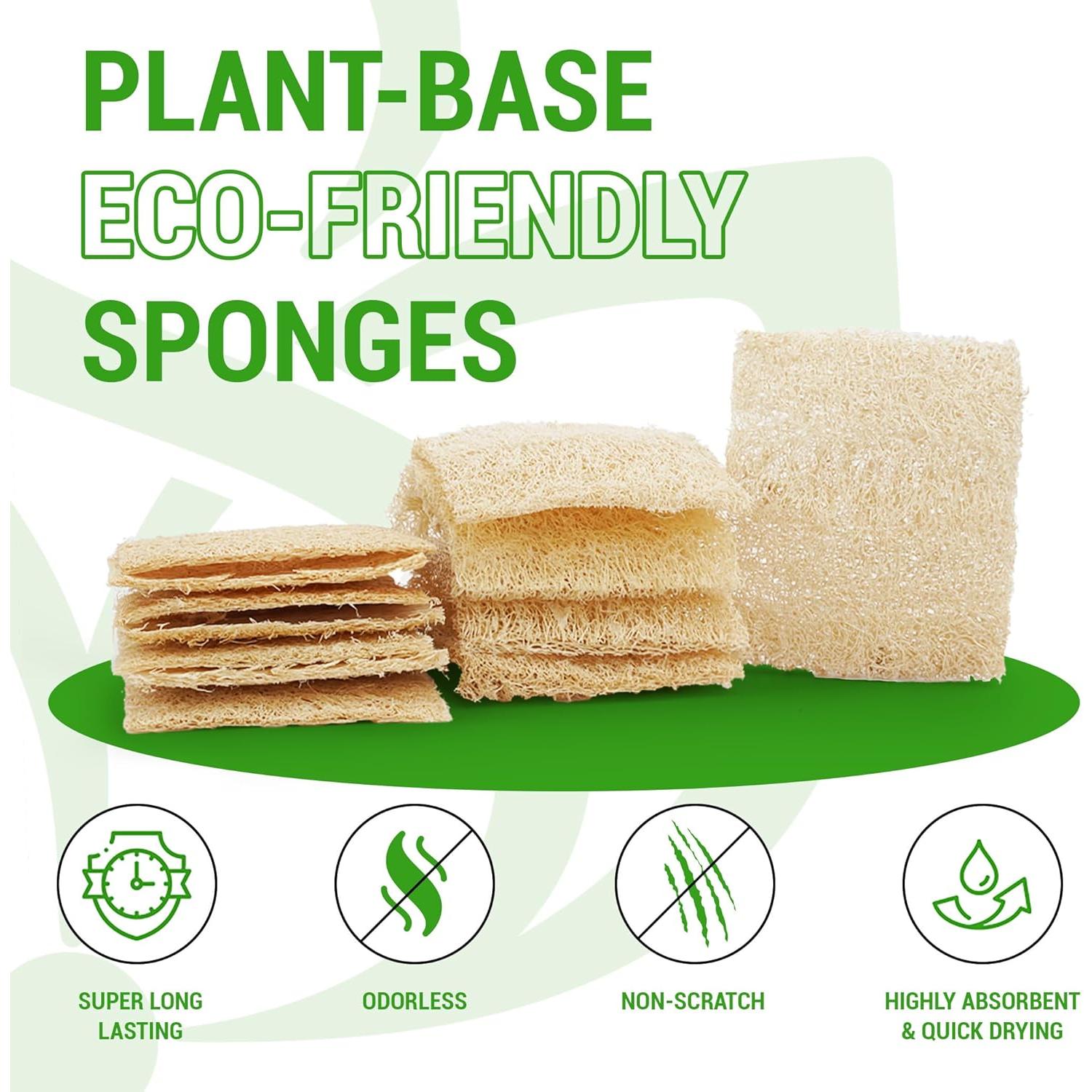 Esponjas de Lufa Doble Cara Herbvian - Paquete de 12 Unidades