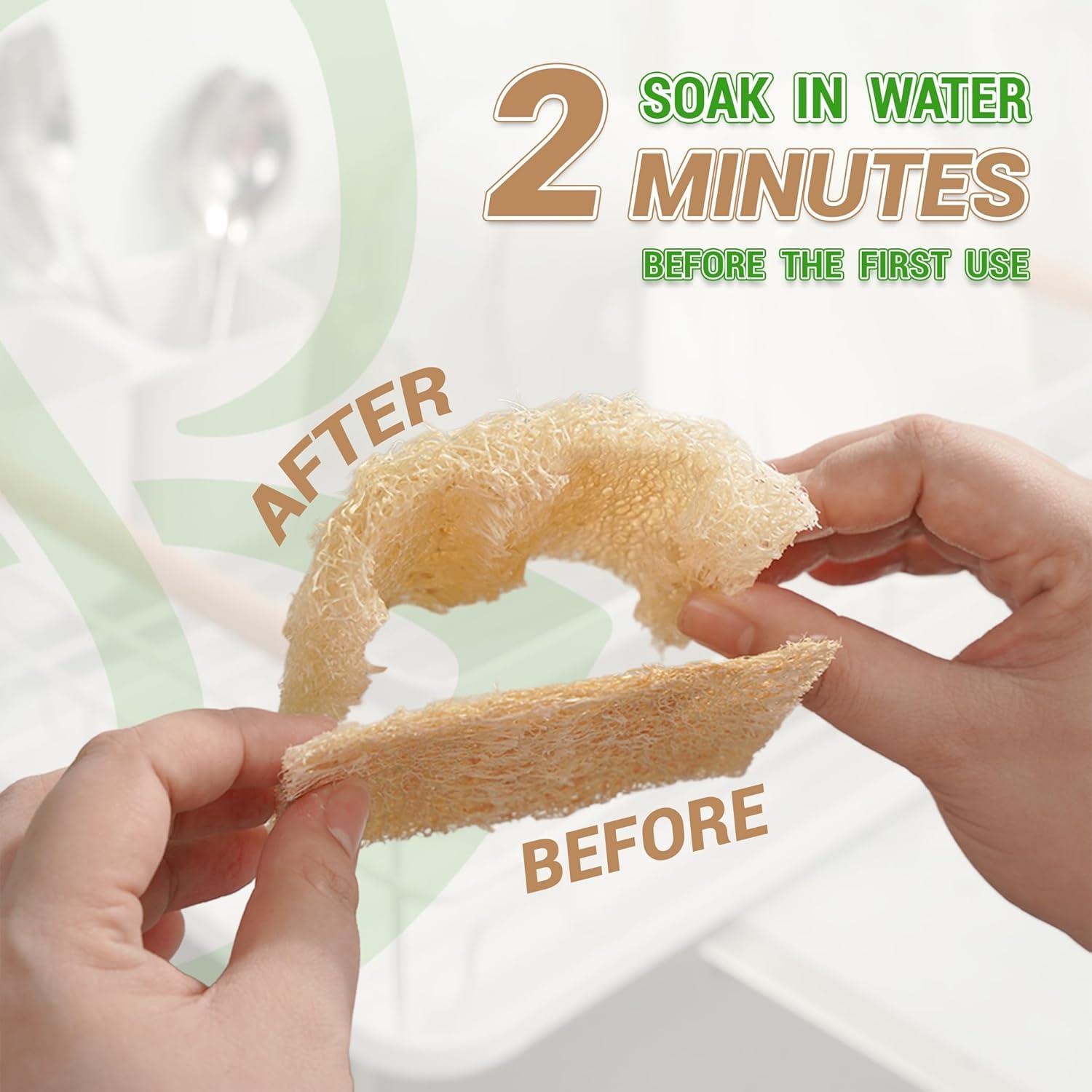 Esponjas de Lufa Doble Cara Herbvian - Paquete de 12 Unidades