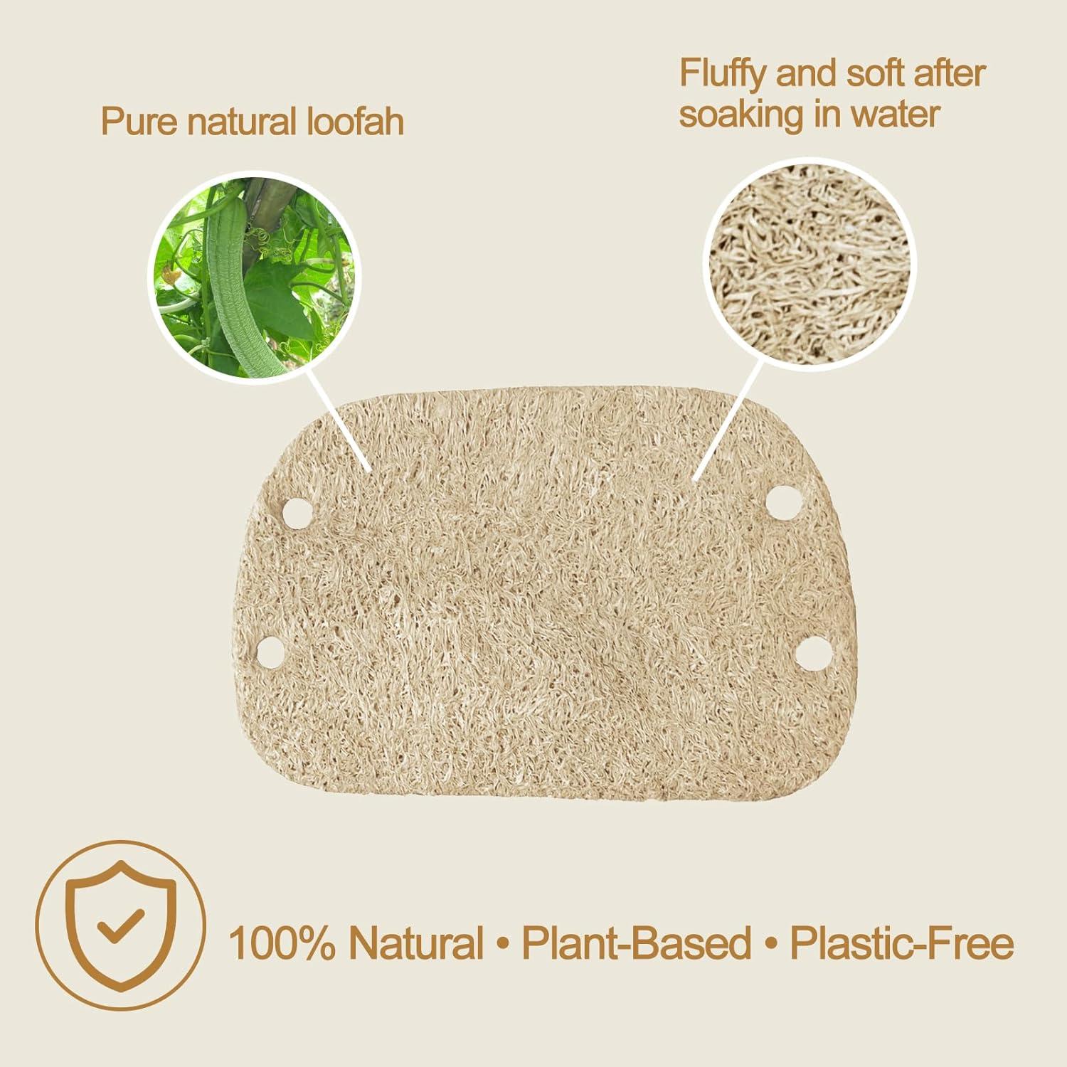 Juego de 5 Esponjas de Lufa Natural Genérico con Mango Ergonómico