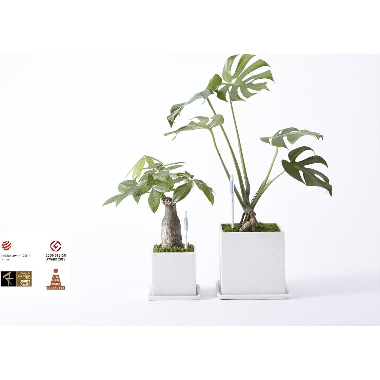 Sustee Aqua Meter - 2 Palos de Reemplazo Grande - Hecho en Japón