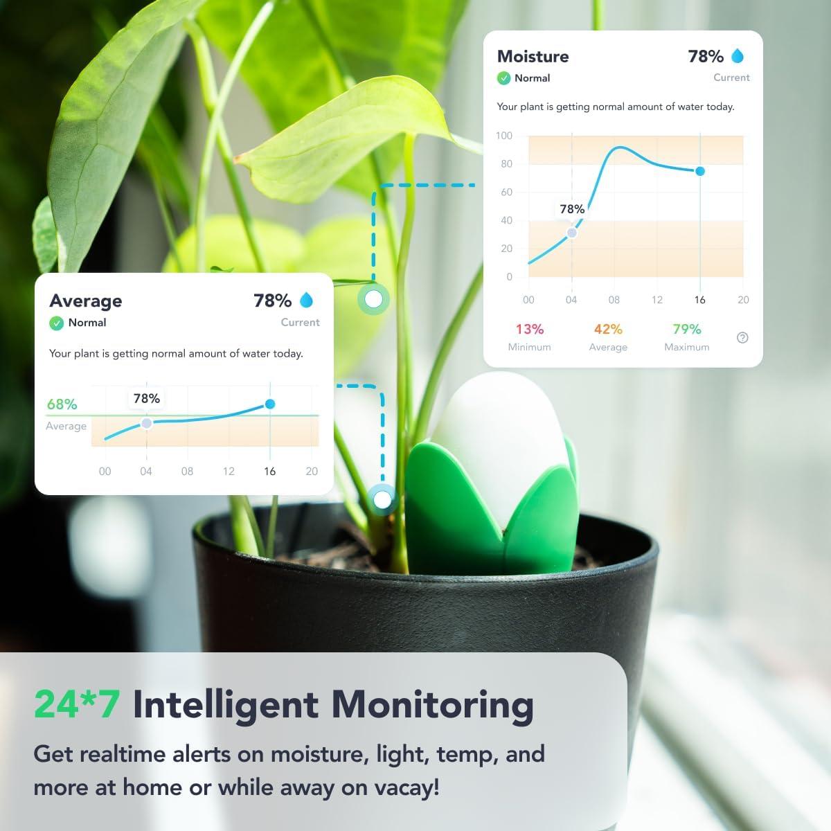 Monitor de Plantas Inteligente Flora Pod - Alertas de Salud