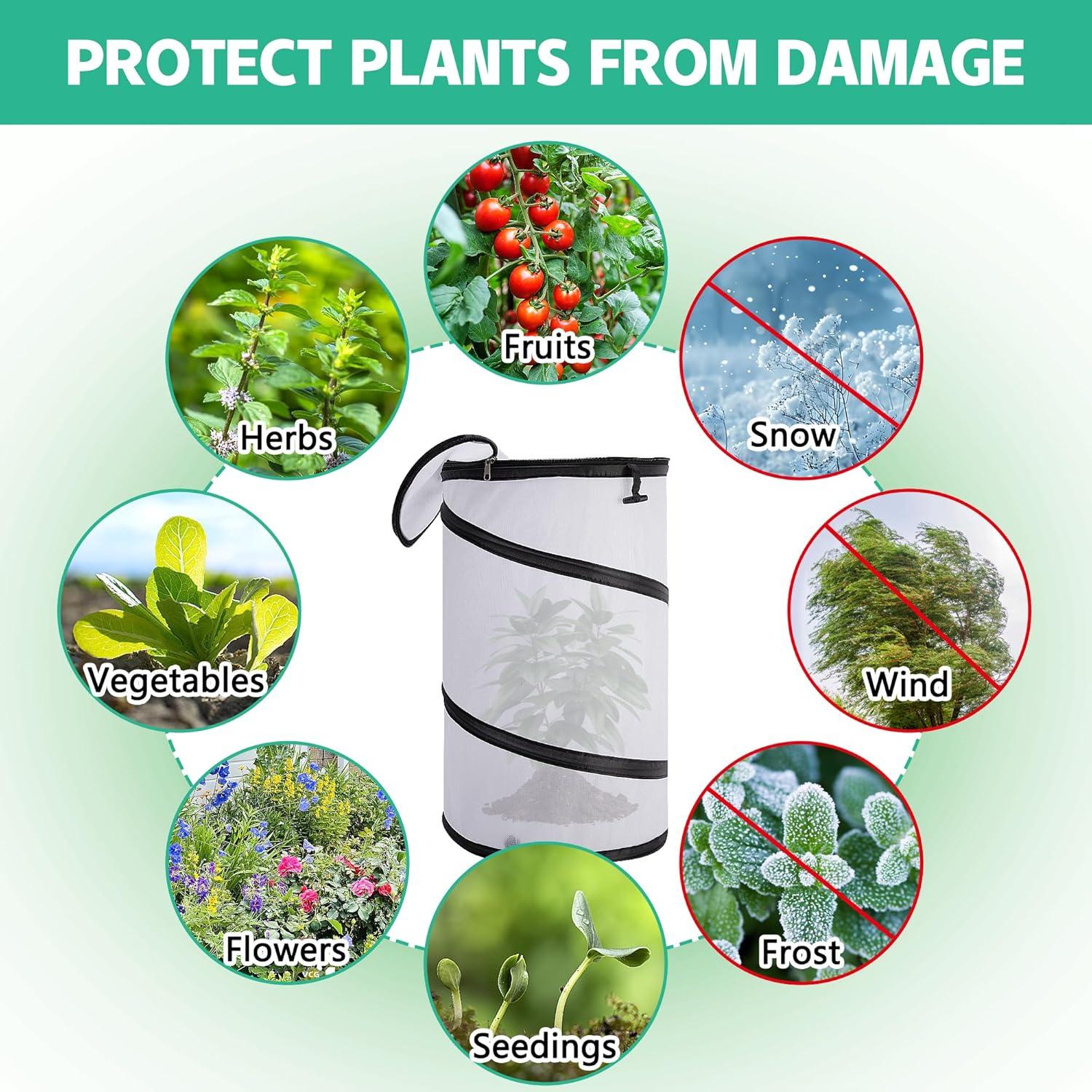 Cubierta de Planta Invierno 2 Pcs Pop Up 50.8x30.5cm PURPLE STAR