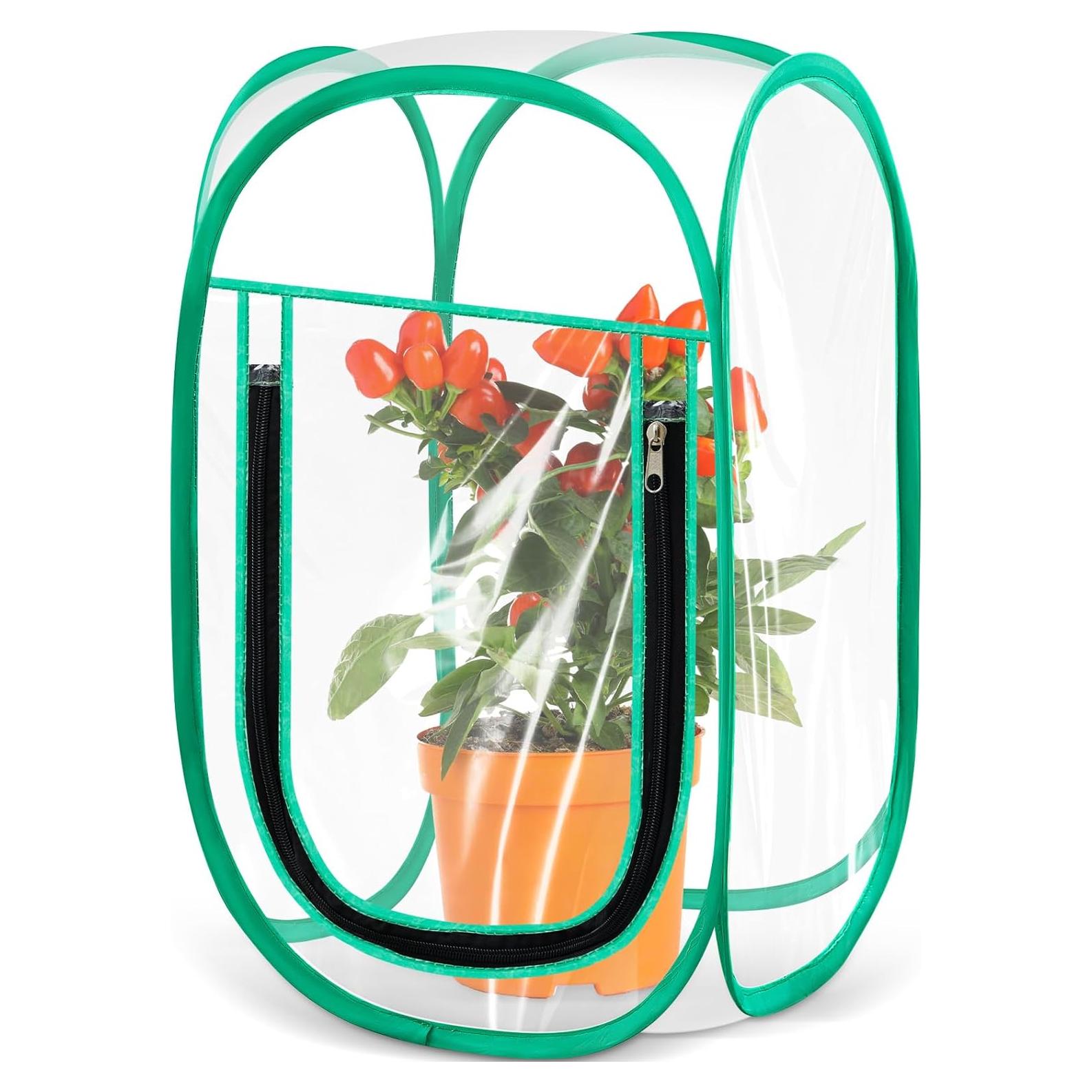 Mini Invernadero Pop Up Nuanchu 30x30x50 cm PVC Transparente