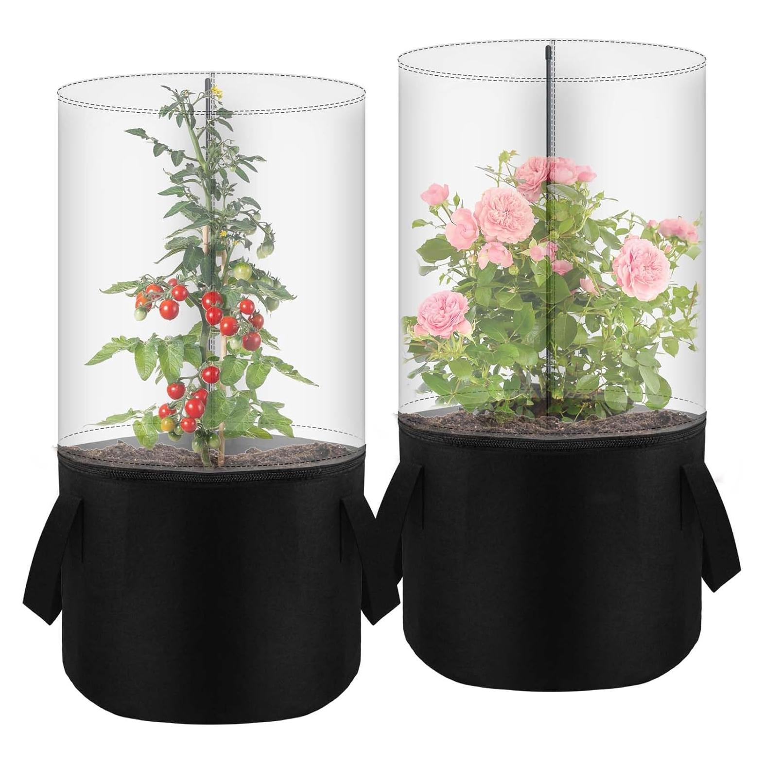 Mini Invernadero de Plantas Fantang 75 cm con Bolsa de Fieltro