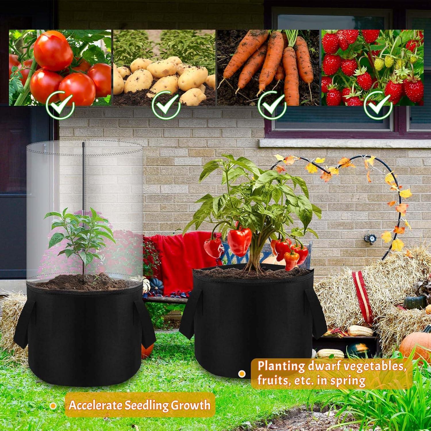 Mini Invernadero de Plantas Fantang 75 cm con Bolsa de Fieltro