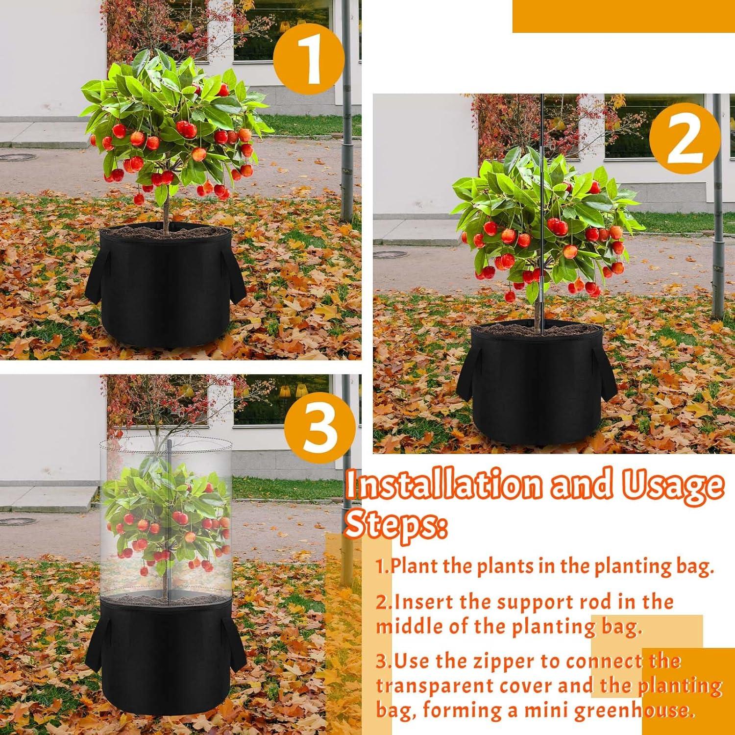 Mini Invernadero de Plantas Fantang 75 cm con Bolsa de Fieltro