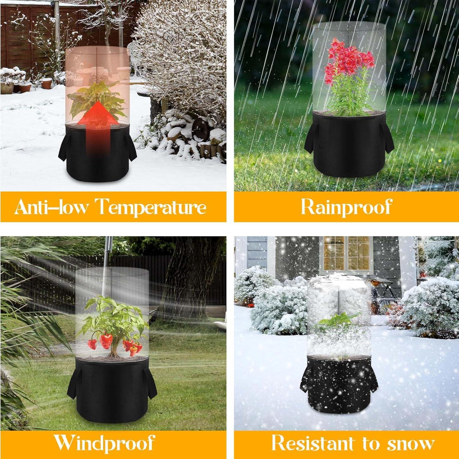 Mini Invernadero de Plantas Fantang 75 cm con Bolsa de Fieltro