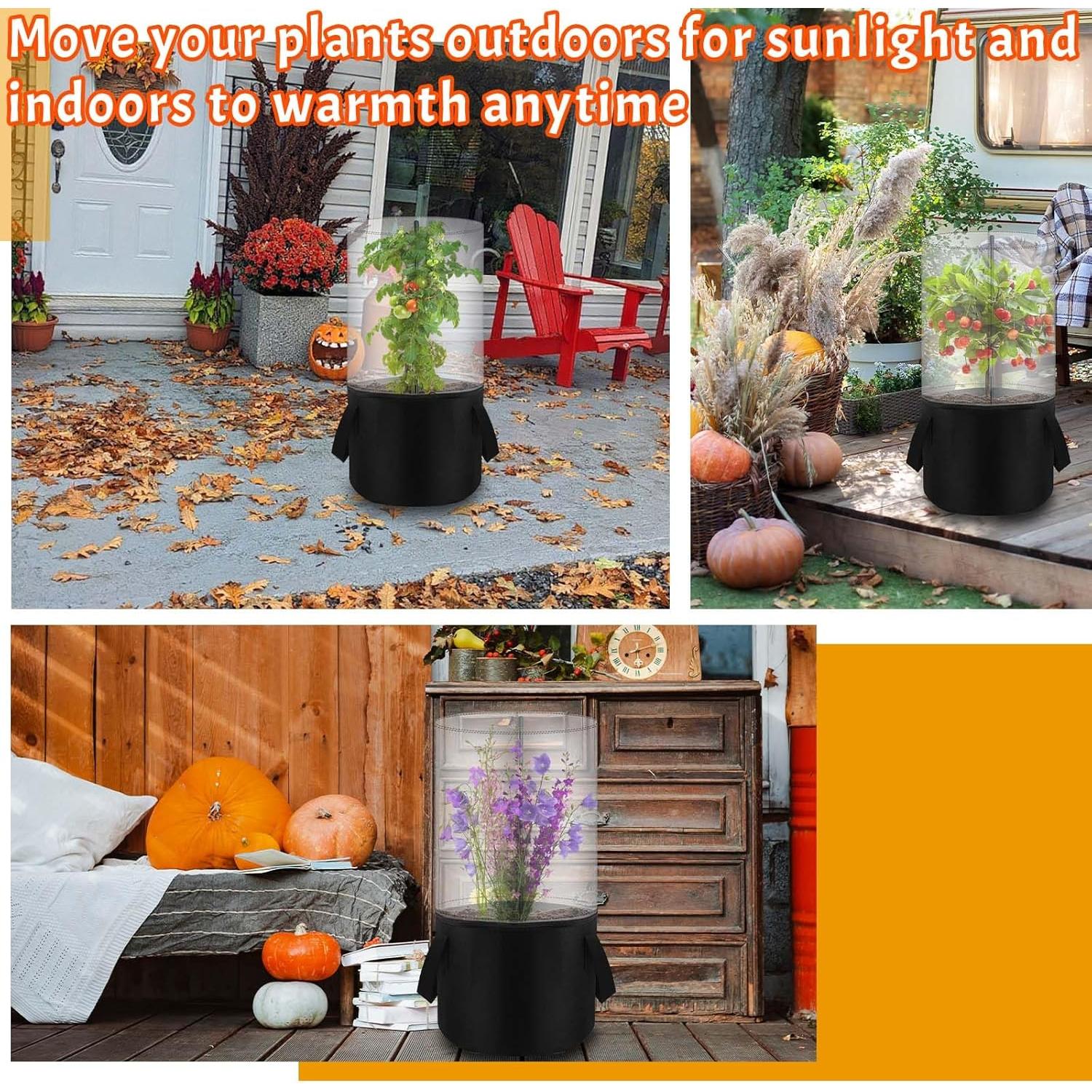 Mini Invernadero de Plantas Fantang 75 cm con Bolsa de Fieltro