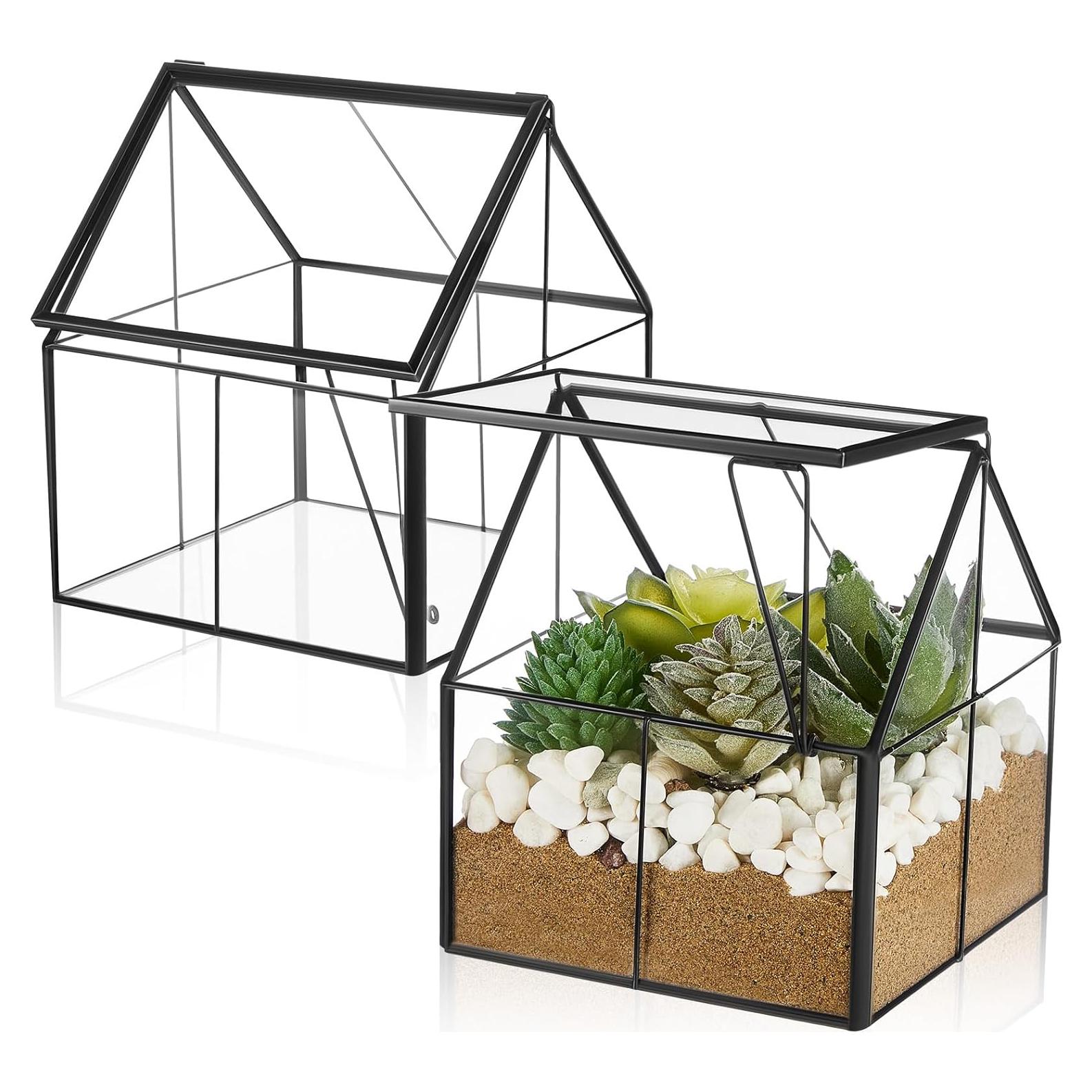 Juego de 2 Mini Macetas de Vidrio FillTouch para Terrario 12.7 cm