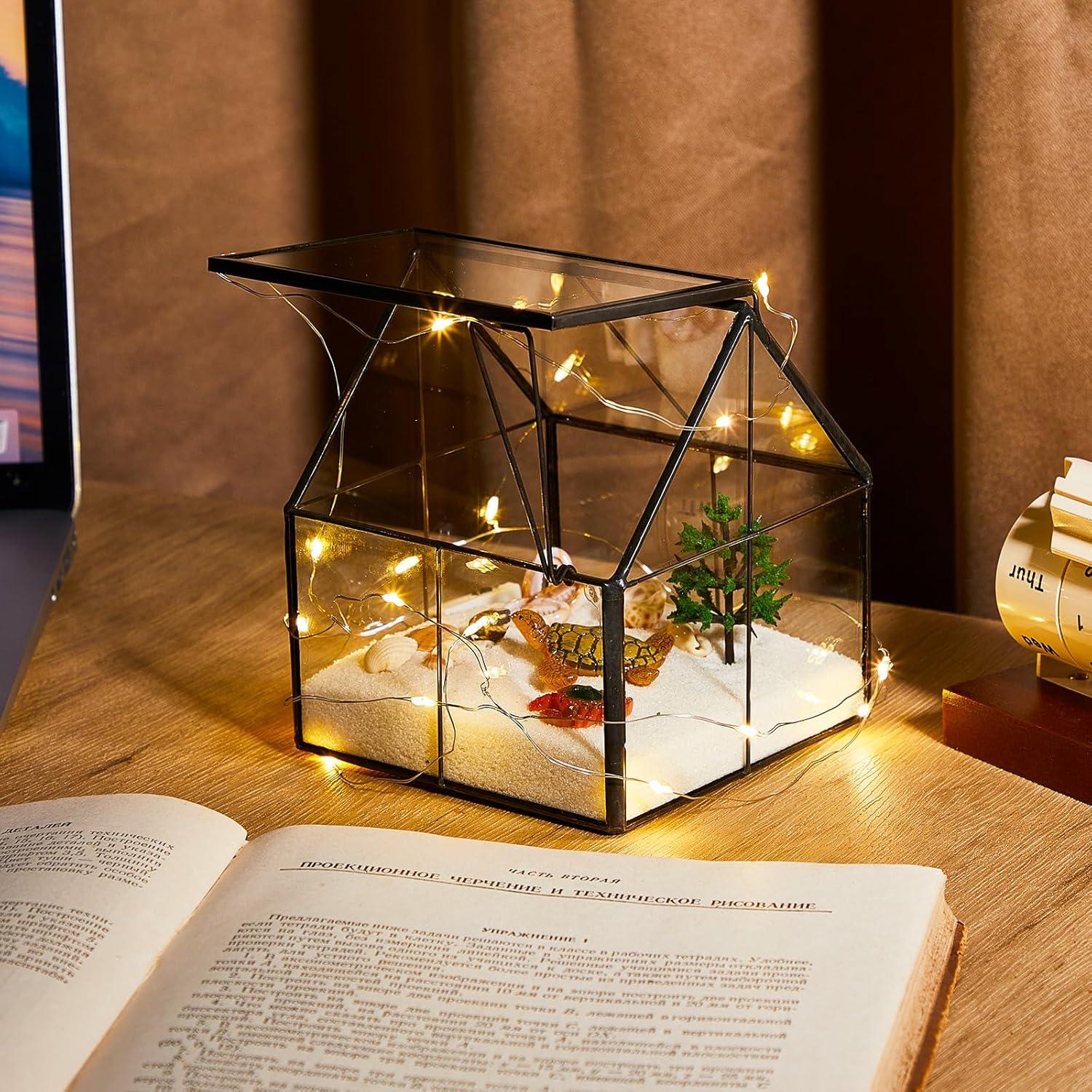 Juego de 2 Mini Macetas de Vidrio FillTouch para Terrario 12.7 cm