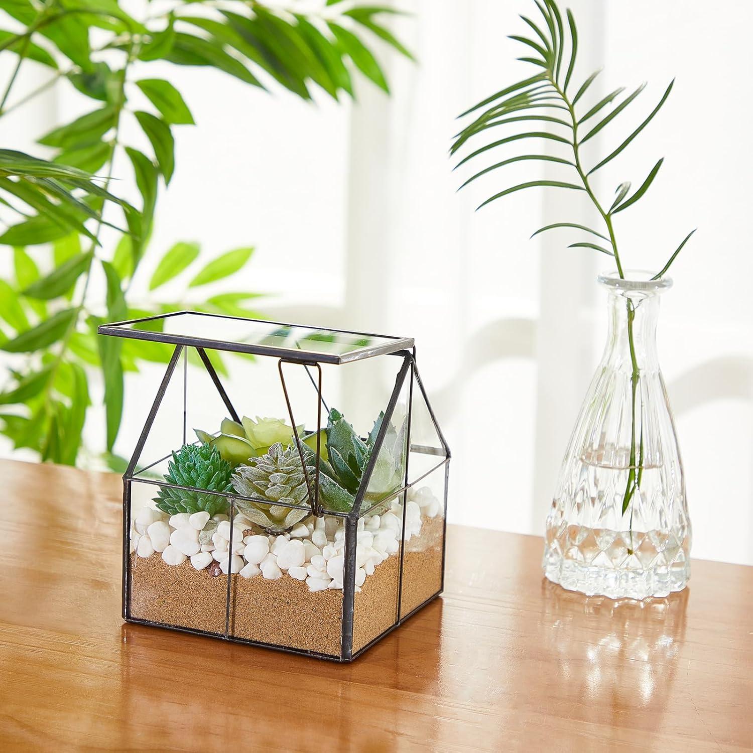 Juego de 2 Mini Macetas de Vidrio FillTouch para Terrario 12.7 cm