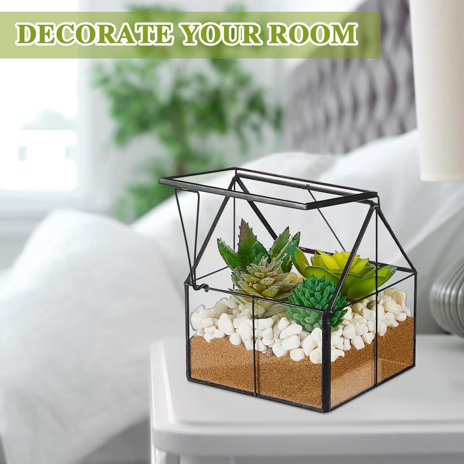 Juego de 2 Mini Macetas de Vidrio FillTouch para Terrario 12.7 cm