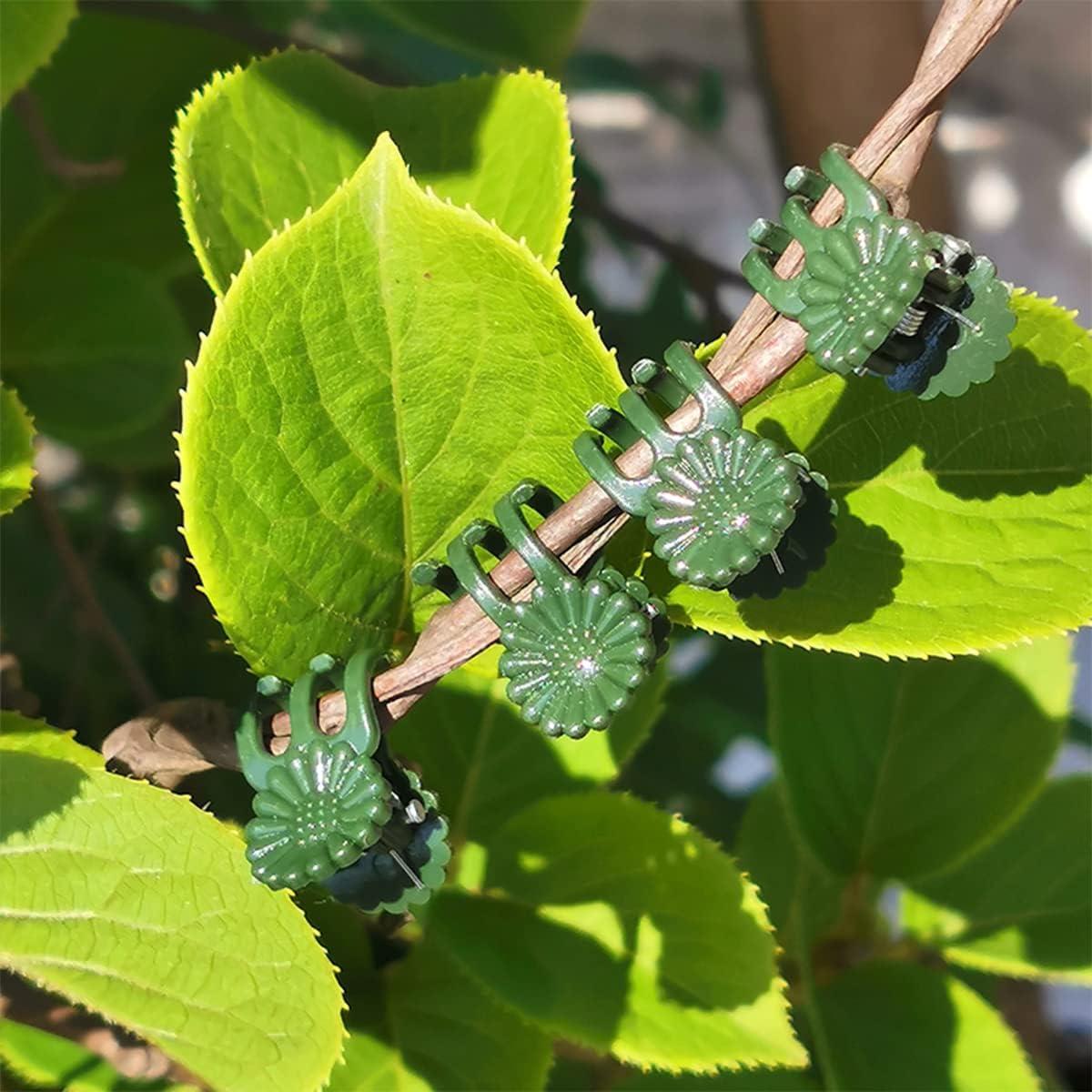 Soportes para Plantas LUCKJUJU 30 Pcs 37cm 27cm 17cm Clips