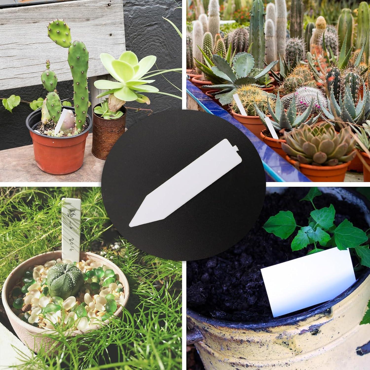 Etiquetas de Plantas Quluxe 100 Pcs PVC Reutilizables Blancas