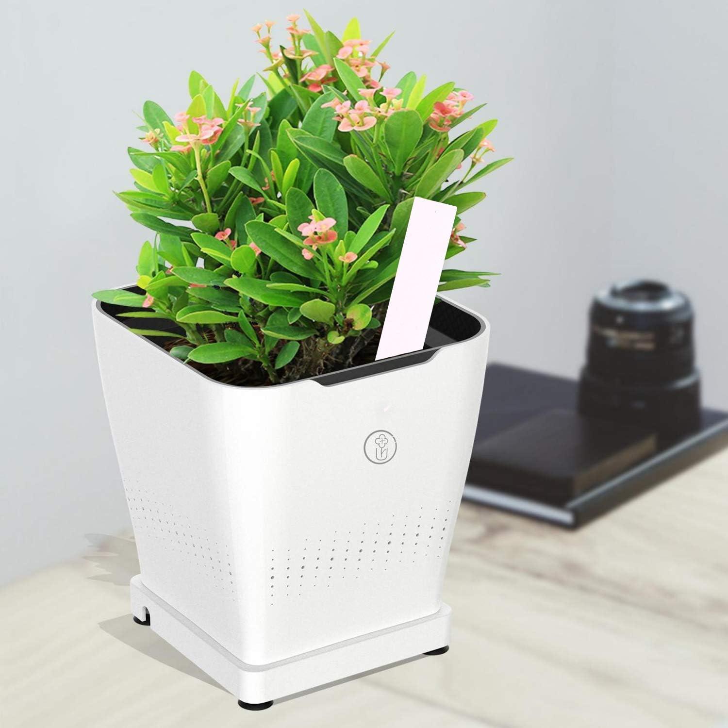 Etiquetas de Plantas de Plástico GOETOR 20 cm 50 PCS Blancas