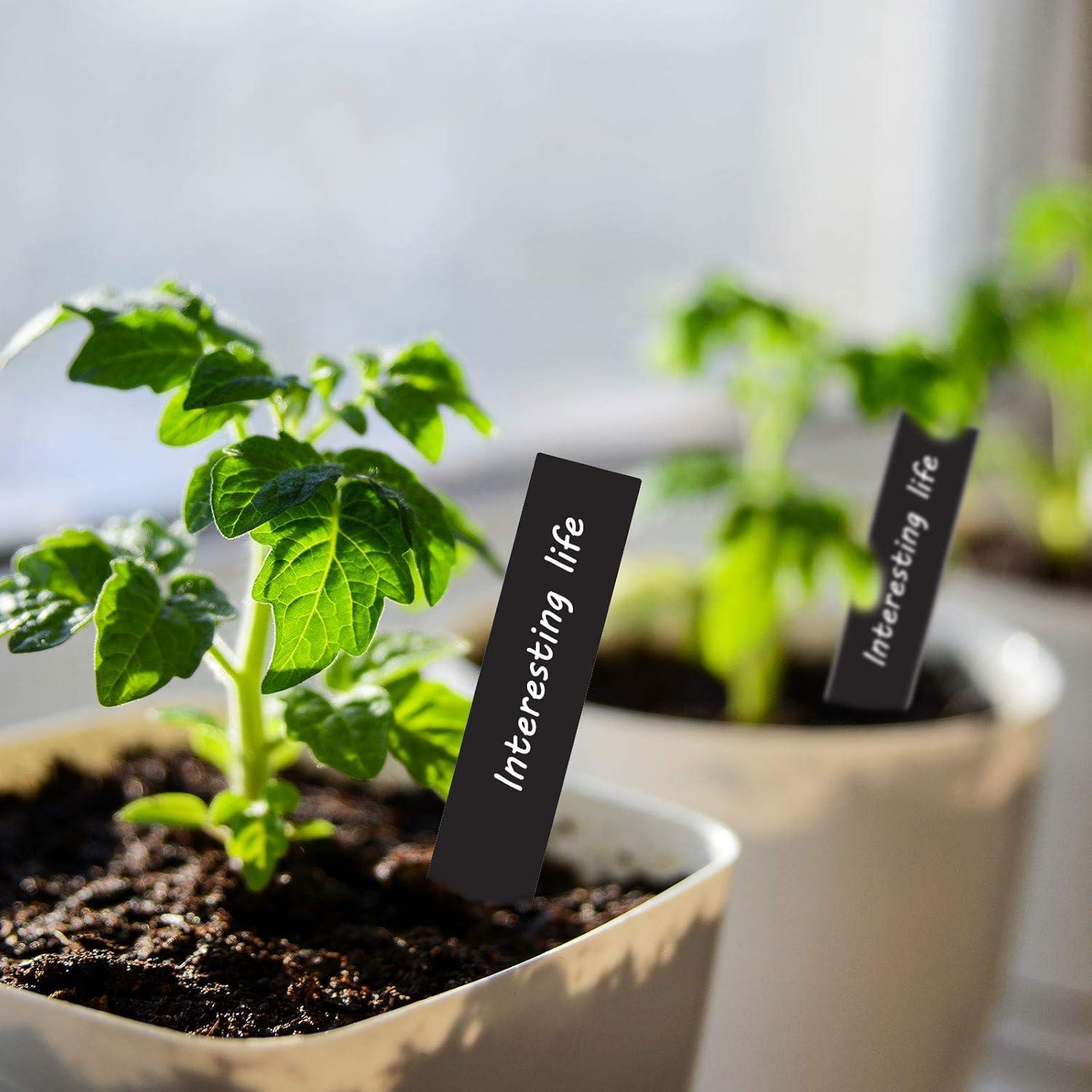 Etiquetas de Plástico para Plantas Whaline 200 Pcs 10x2 cm