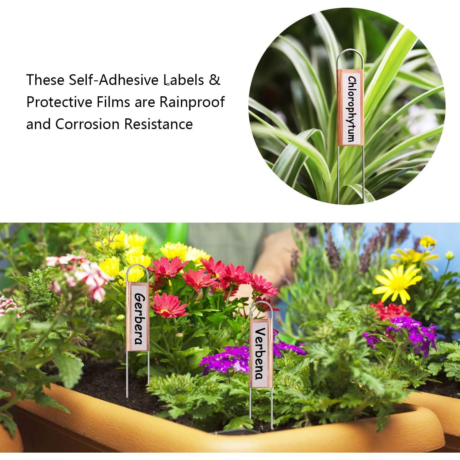 25 Etiquetas de Cobre para Plantas Wanapure 20.32 cm Reutilizables