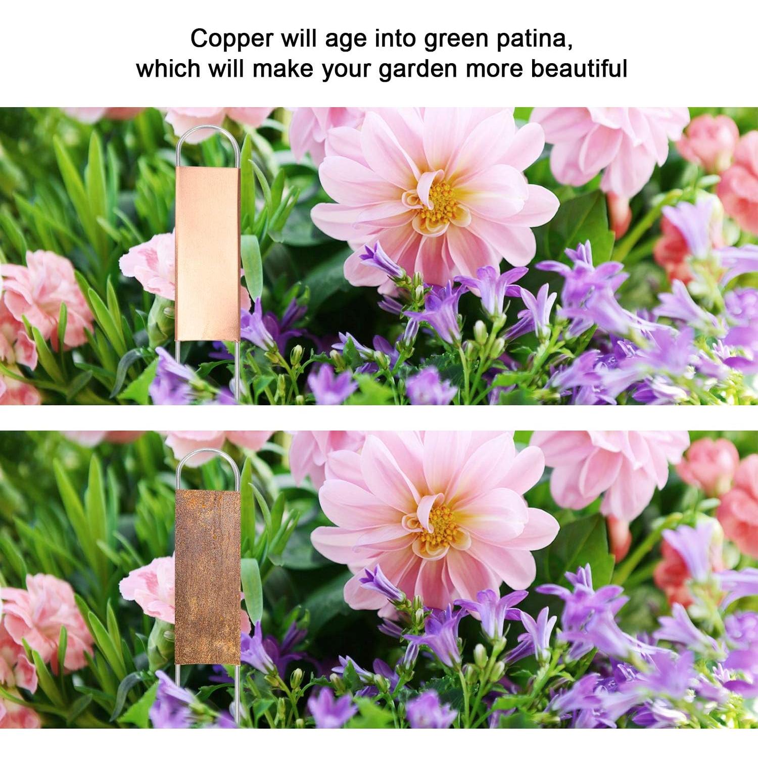 25 Etiquetas de Cobre para Plantas Wanapure 20.32 cm Reutilizables