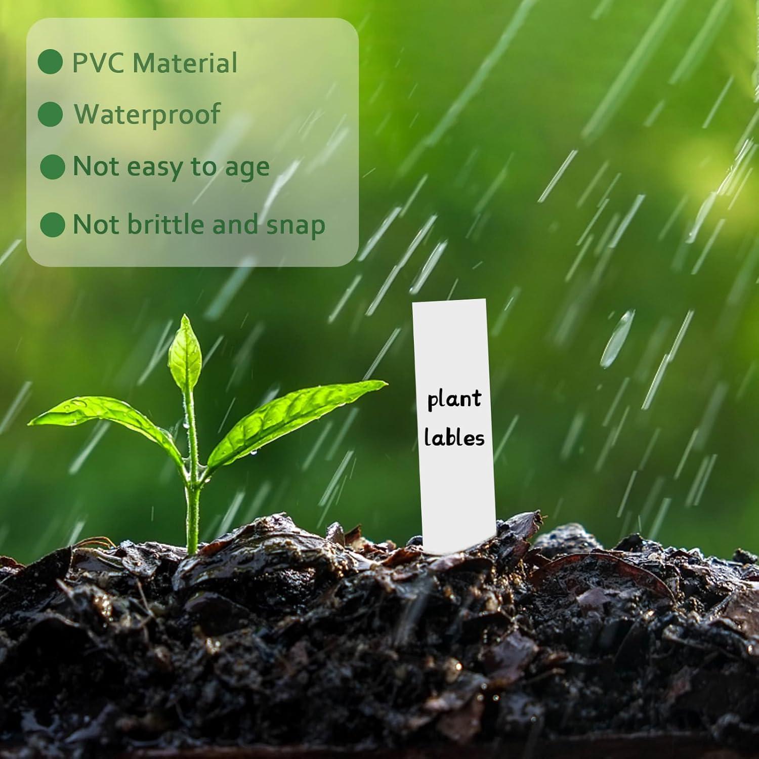 1000 Etiquetas de Plástico para Plantas Giaueoa 100x20mm