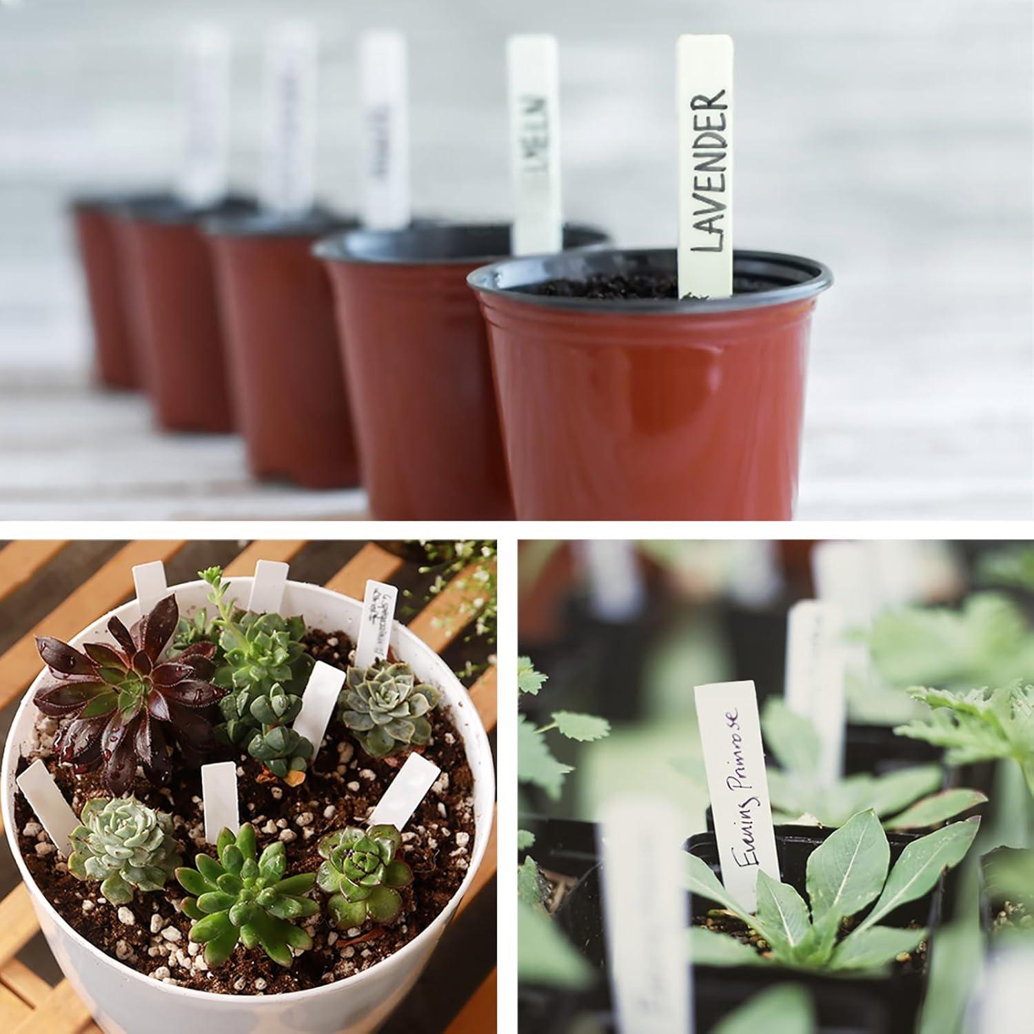 1000 Etiquetas de Plástico para Plantas Giaueoa 100x20mm