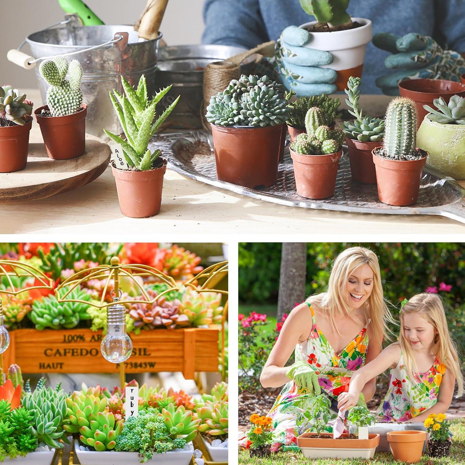 1000 Etiquetas de Plástico para Plantas Giaueoa 100x20mm