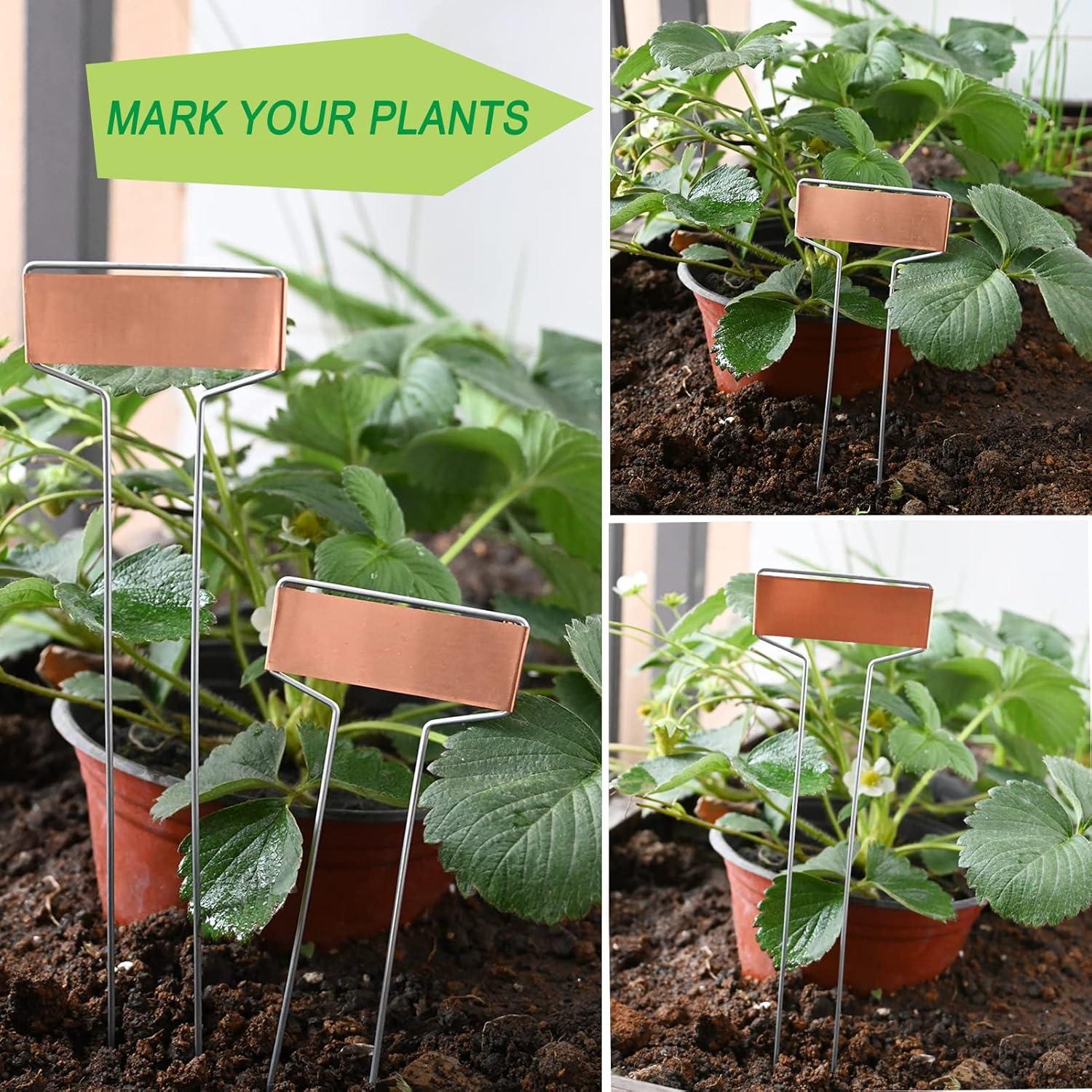 Paquete de 30 Etiquetas de Plantas de Cobre GHAMYEE 15cm y 25cm