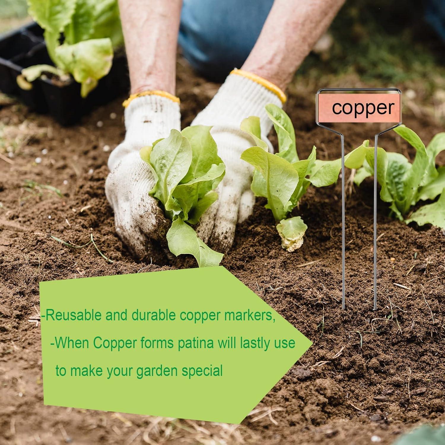 Paquete de 30 Etiquetas de Plantas de Cobre GHAMYEE 15cm y 25cm