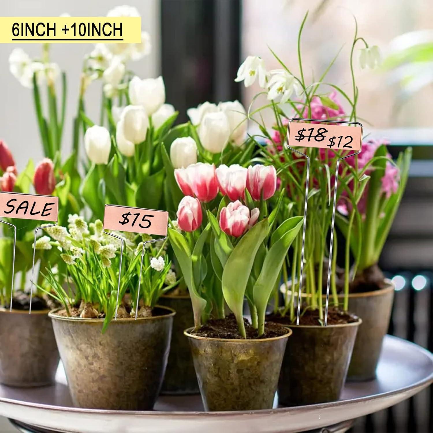 Paquete de 30 Etiquetas de Plantas de Cobre GHAMYEE 15cm y 25cm