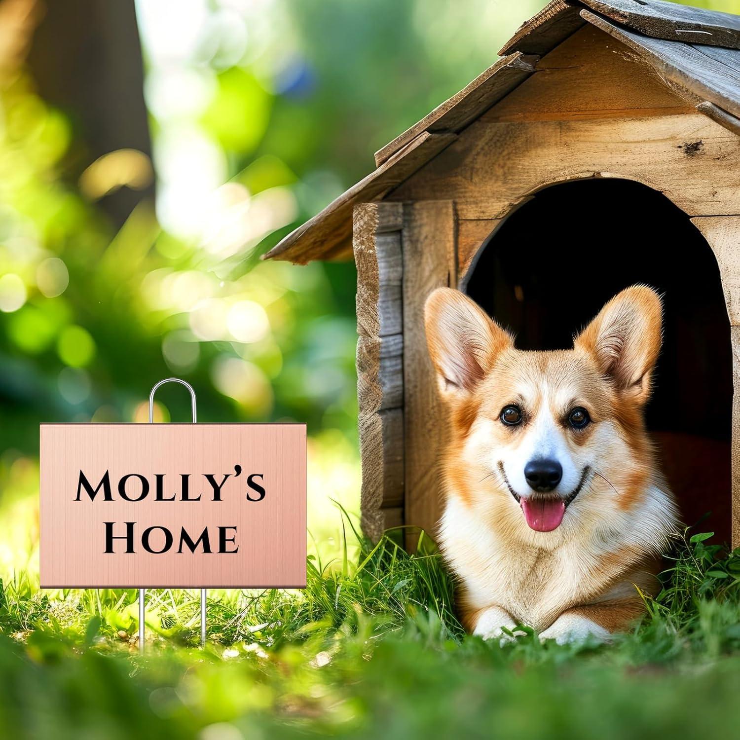 12 Etiquetas de Jardín de Metal Landhoow 10x15 cm Oro Rosa