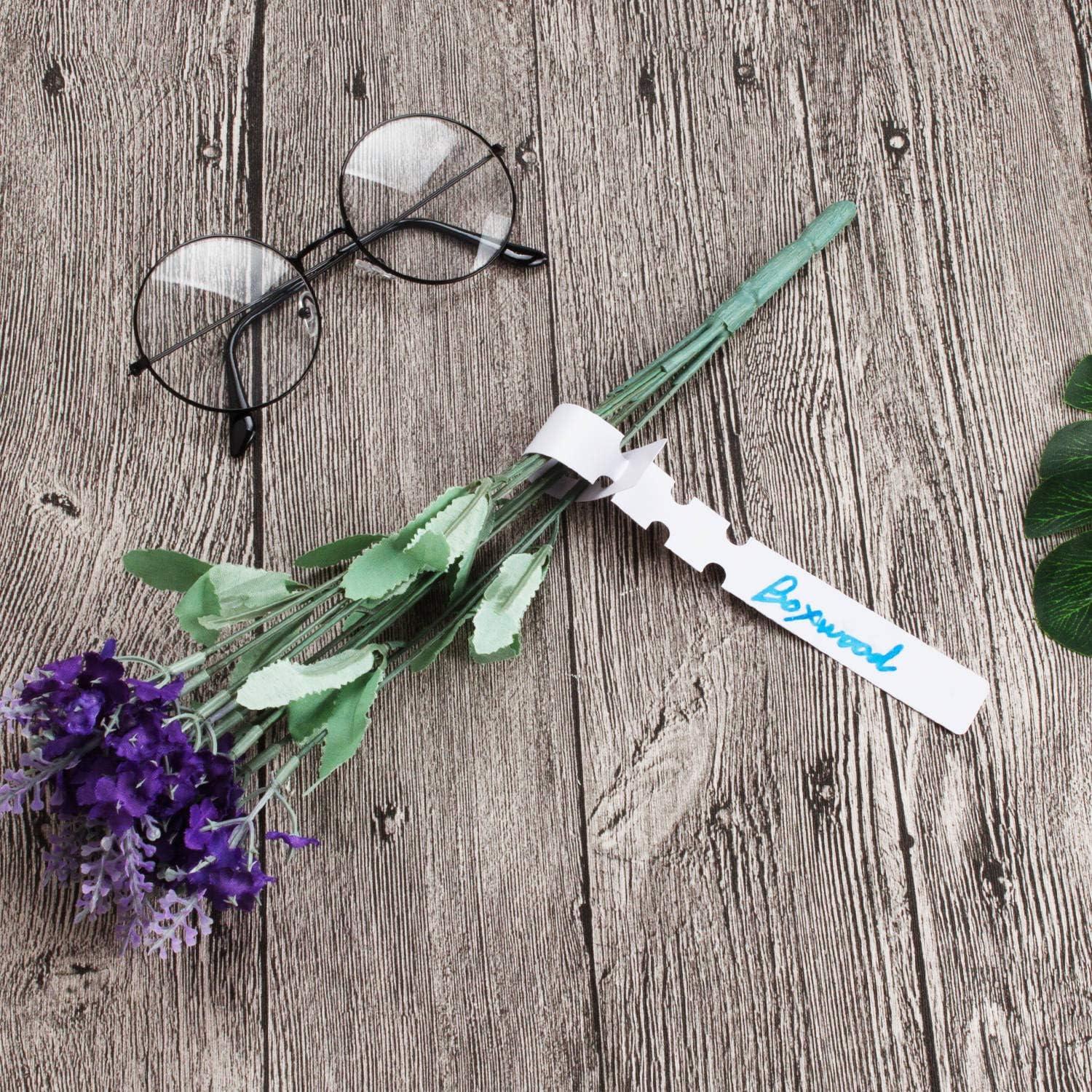 Etiquetas de Plantas Acrux7 1000 Pcs Blancas 20.32x2.03 cm