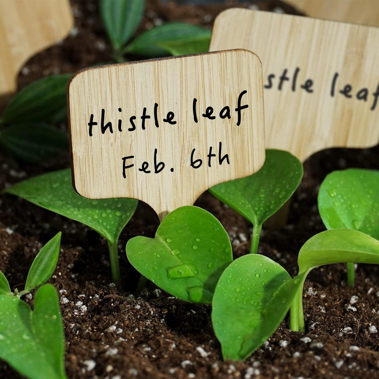 Etiquetas Redondas de Bambú OBTANIM 75 Piezas para Jardín