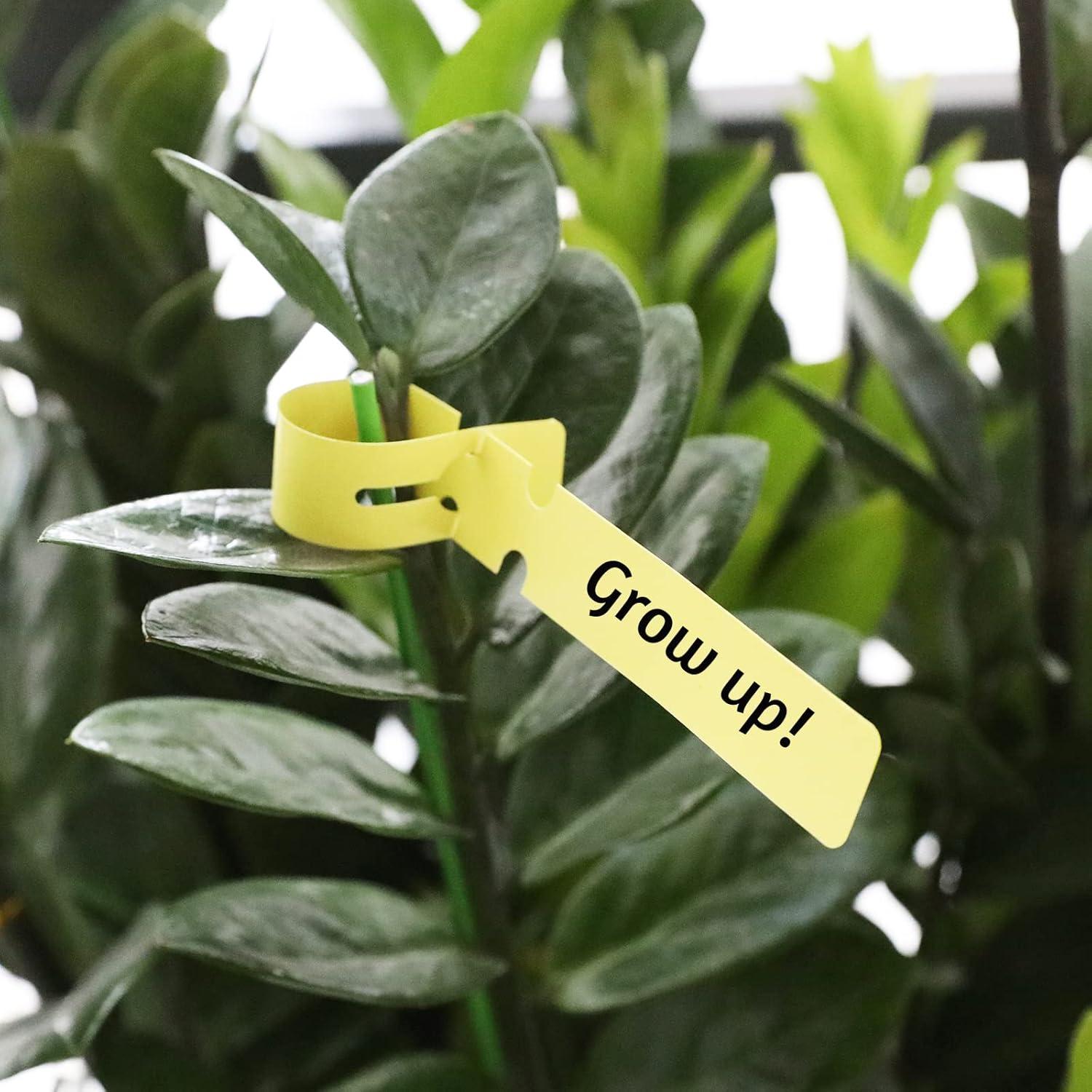 Etiquetas de Plástico KINGLAKE GARDEN 120 Pcs Multicolor