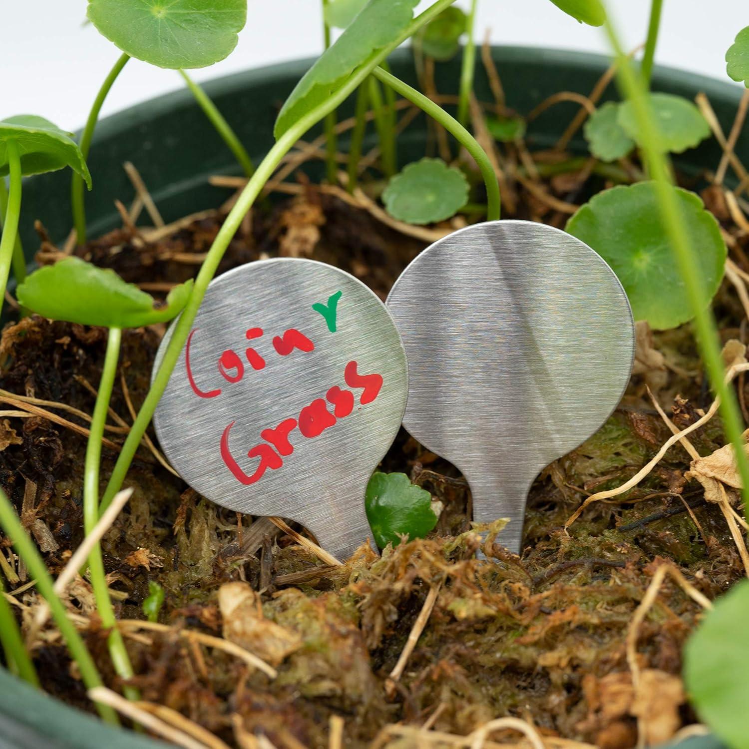 Etiquetas de Jardín Acero Inoxidable StayMax 50 Unidades 6.5x3.5cm