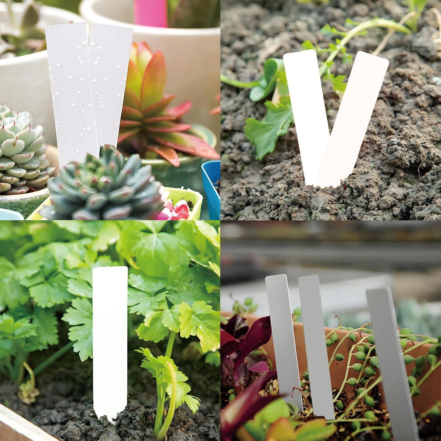 Etiquetas de Jardinería Anphly 200 Pcs 10x2 cm Impermeables