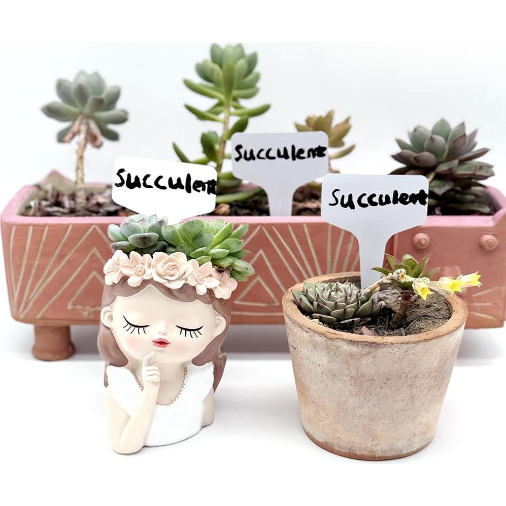 100 Etiquetas de Plástico Tipo T 133 SUPPLY - Jardín Interior/Exterior