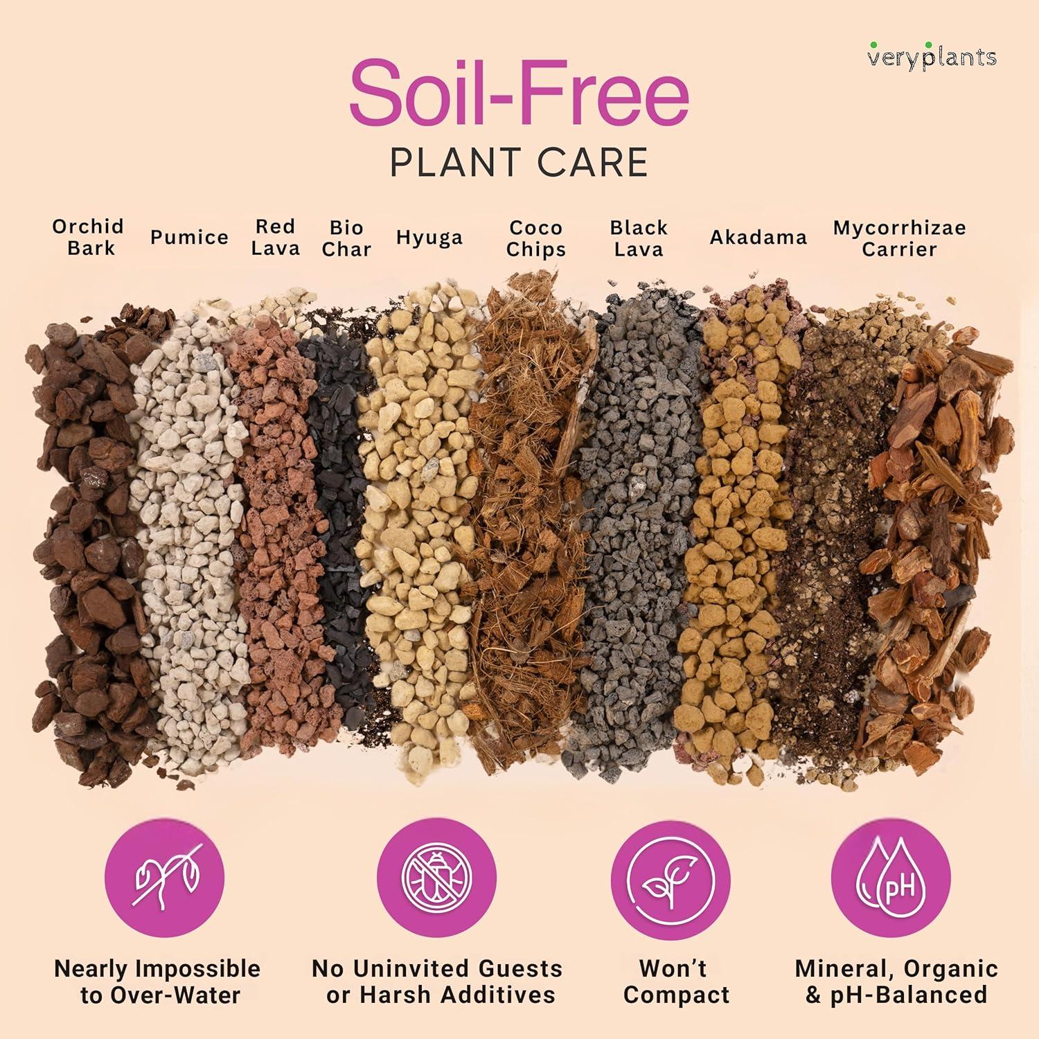 Mezcla para Macetas de Orquídeas Molly 10 Cuartos Sin Suelo