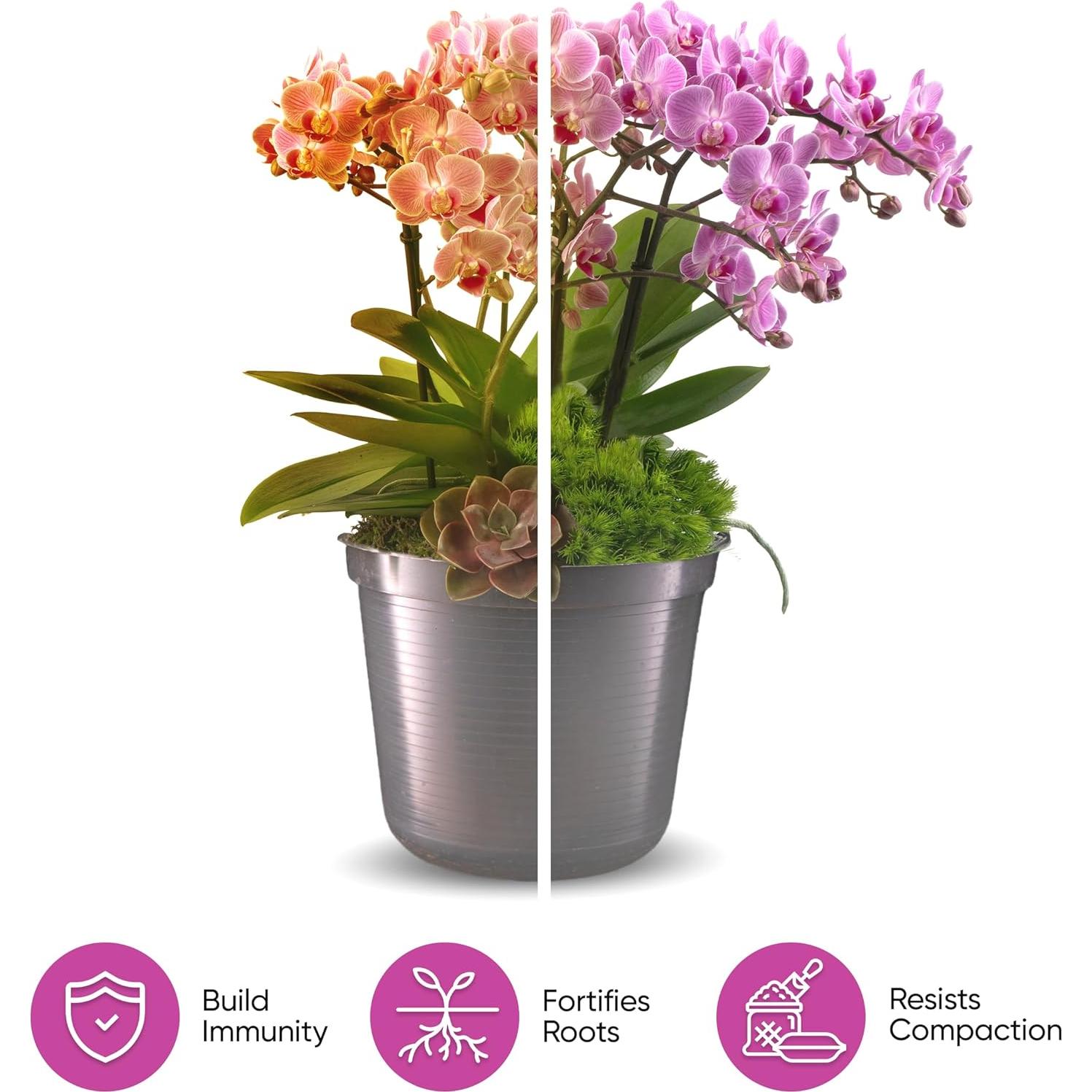 Mezcla para Macetas de Orquídeas Molly 10 Cuartos Sin Suelo