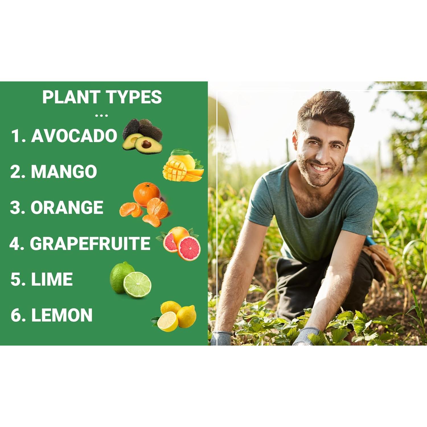 Fertilizante Orgánico para Cítricos GardenWise 473ml - NPK Balanceado