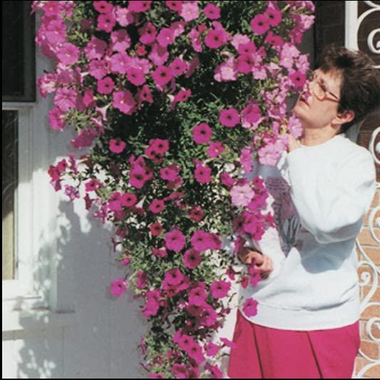 Fertilizante Rootblast 13.6 kg - Crecimiento Rápido y Fuerte