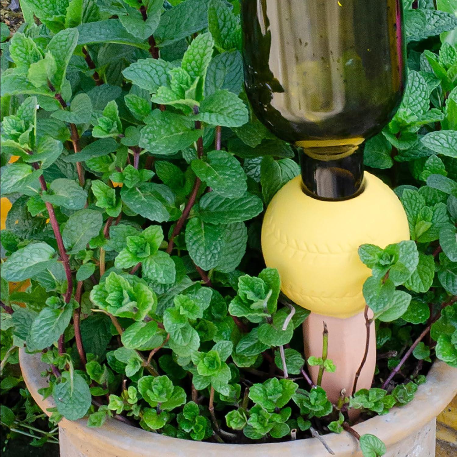 Picos de Riego de Terracota RoseFlower 150ml - 4 Pcs