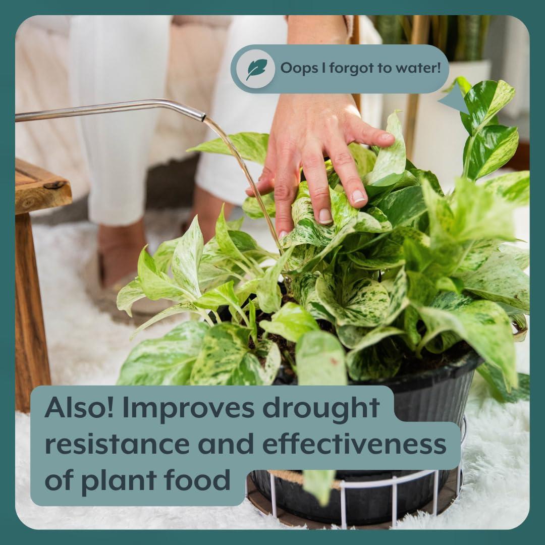 Tabletas ProBióticas para Plantas - Soporte Instantáneo - 4 Unidades