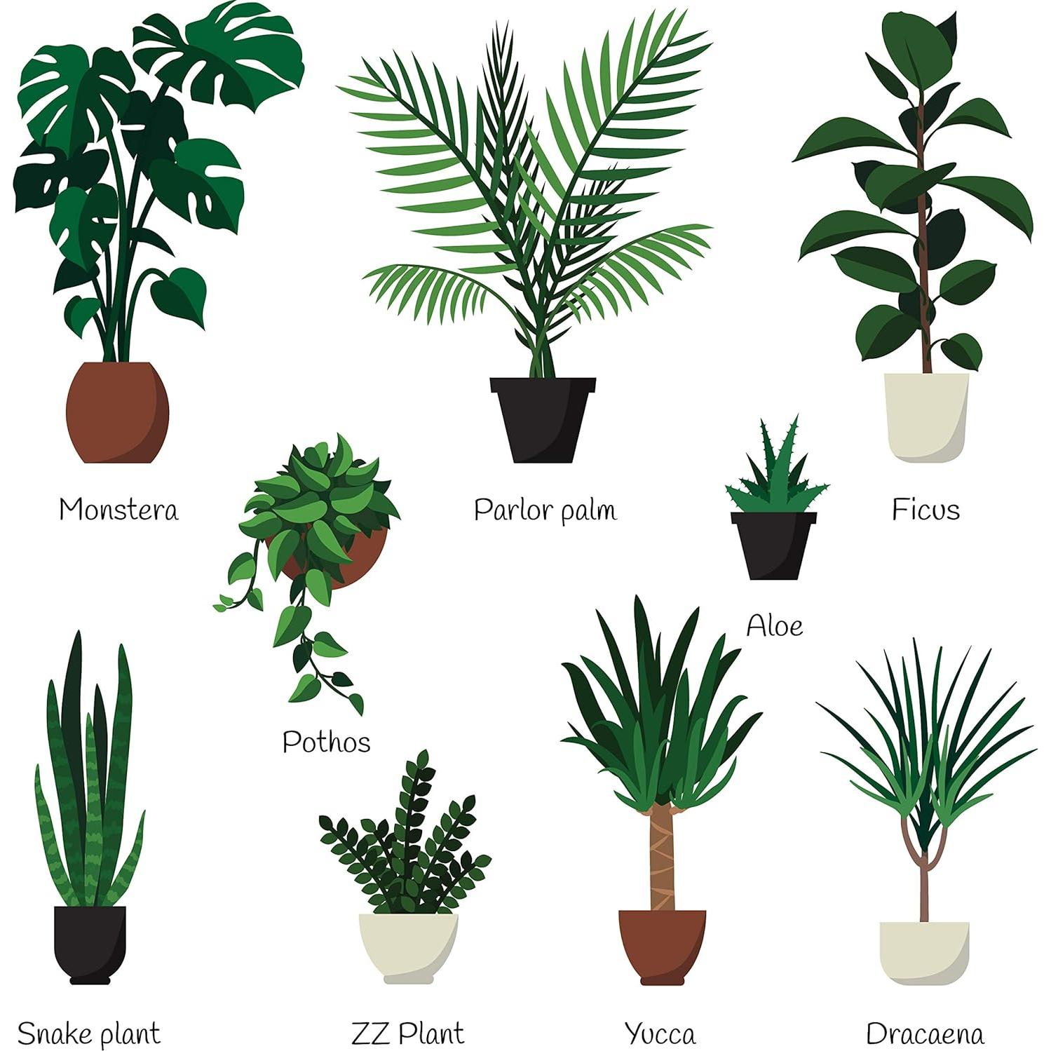 Fertilizante Líquido para Plantas de Interior Aquatic Arts 500ml