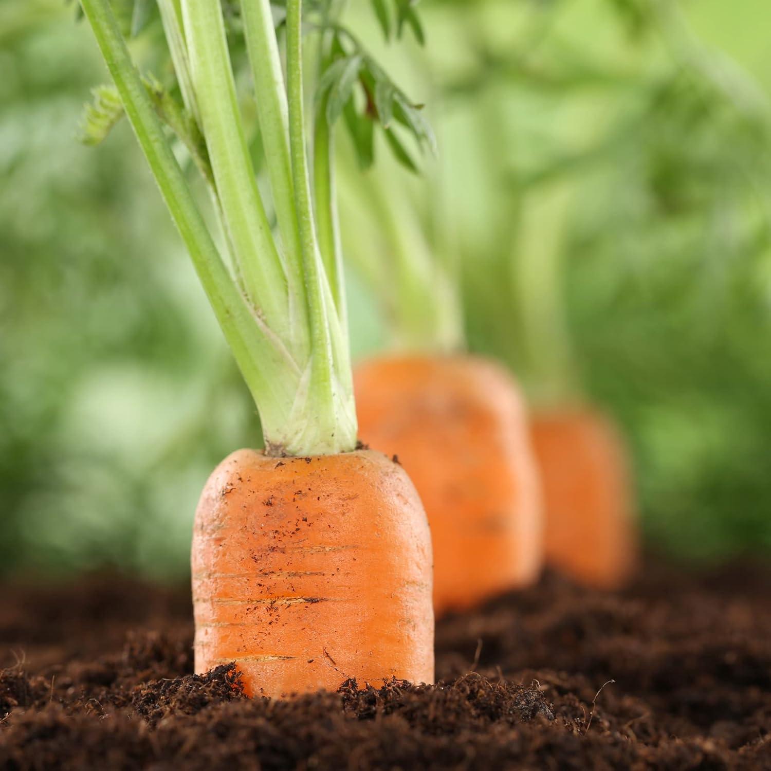 Fertilizante Orgánico Big A para Zanahorias y Verduras 340g